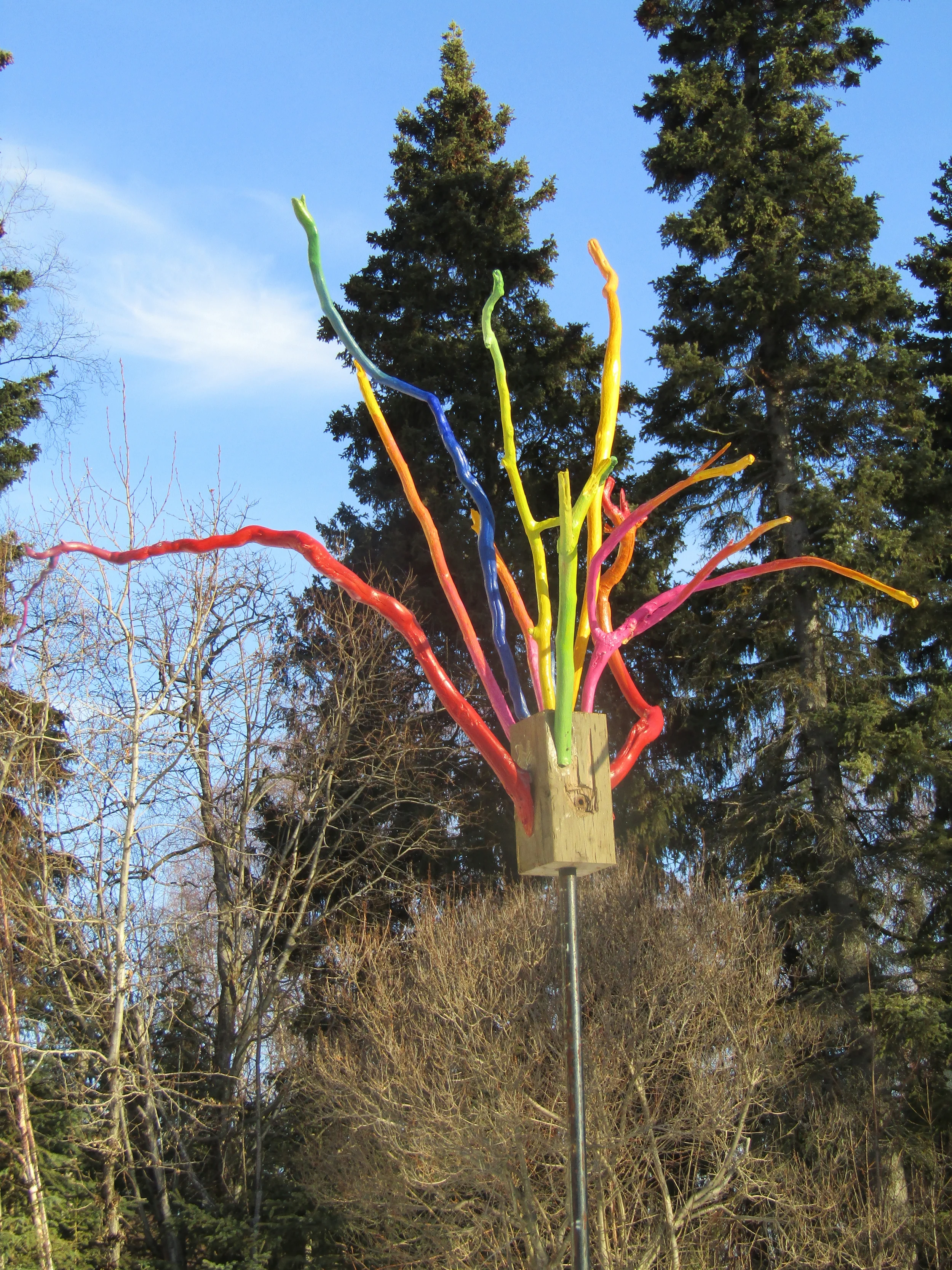 Branches