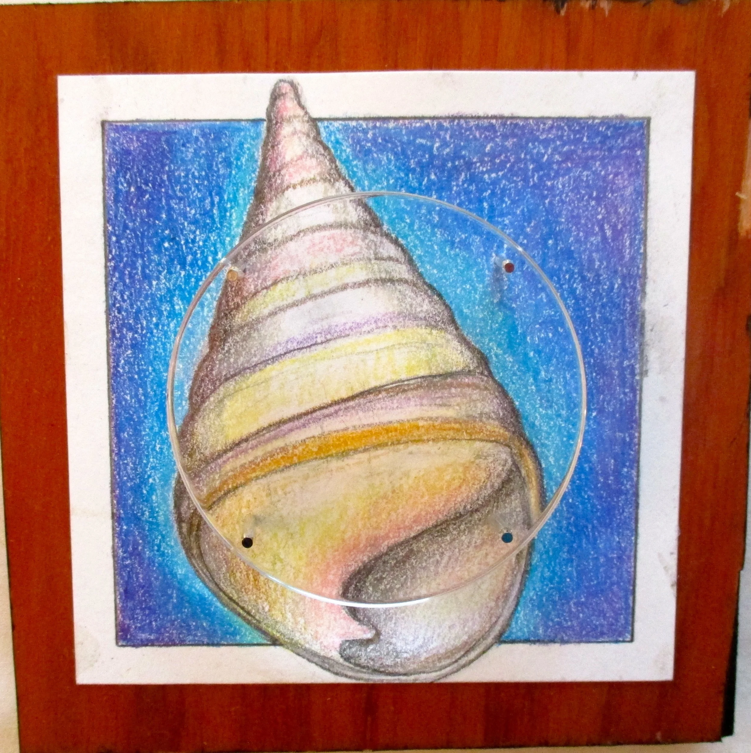 Sea Shell 2- Lens
