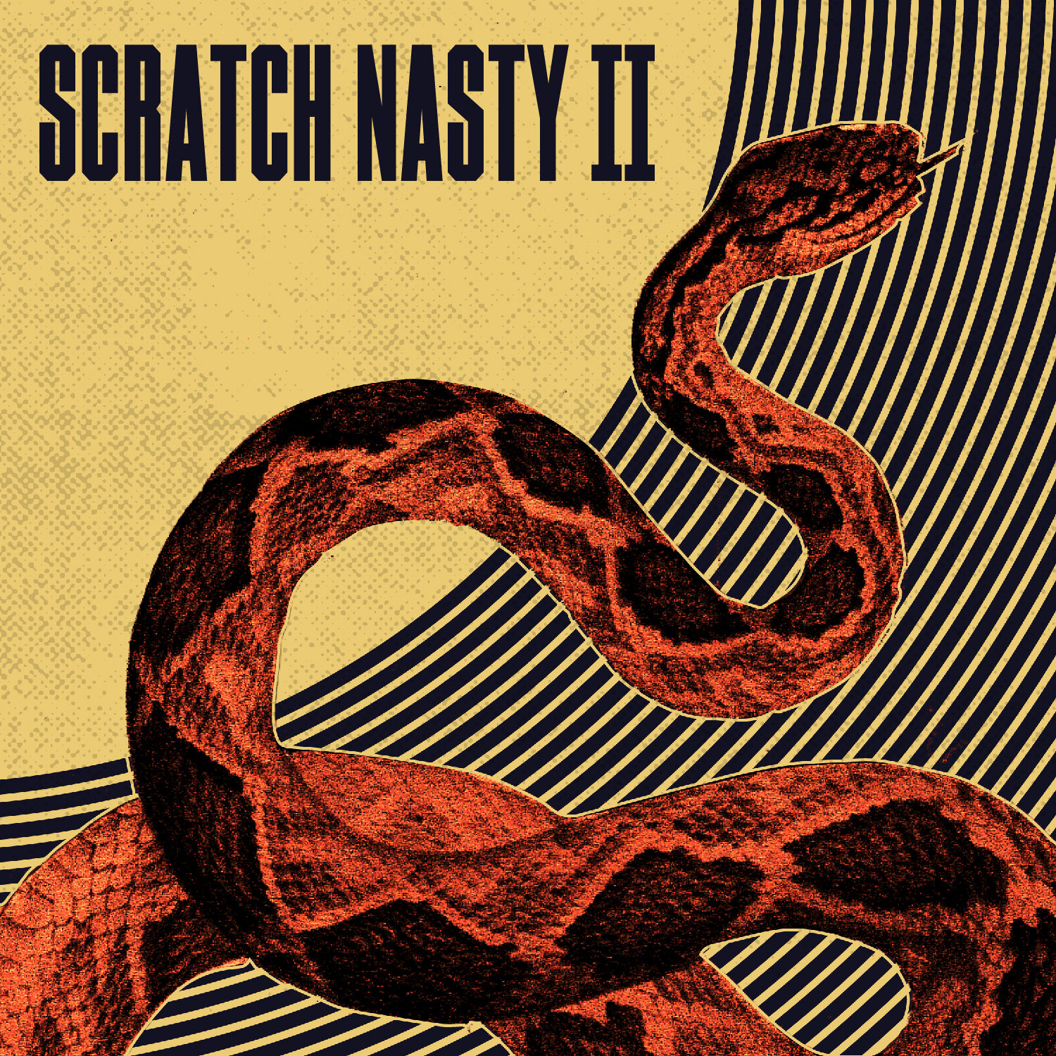 Scratch Nasty II