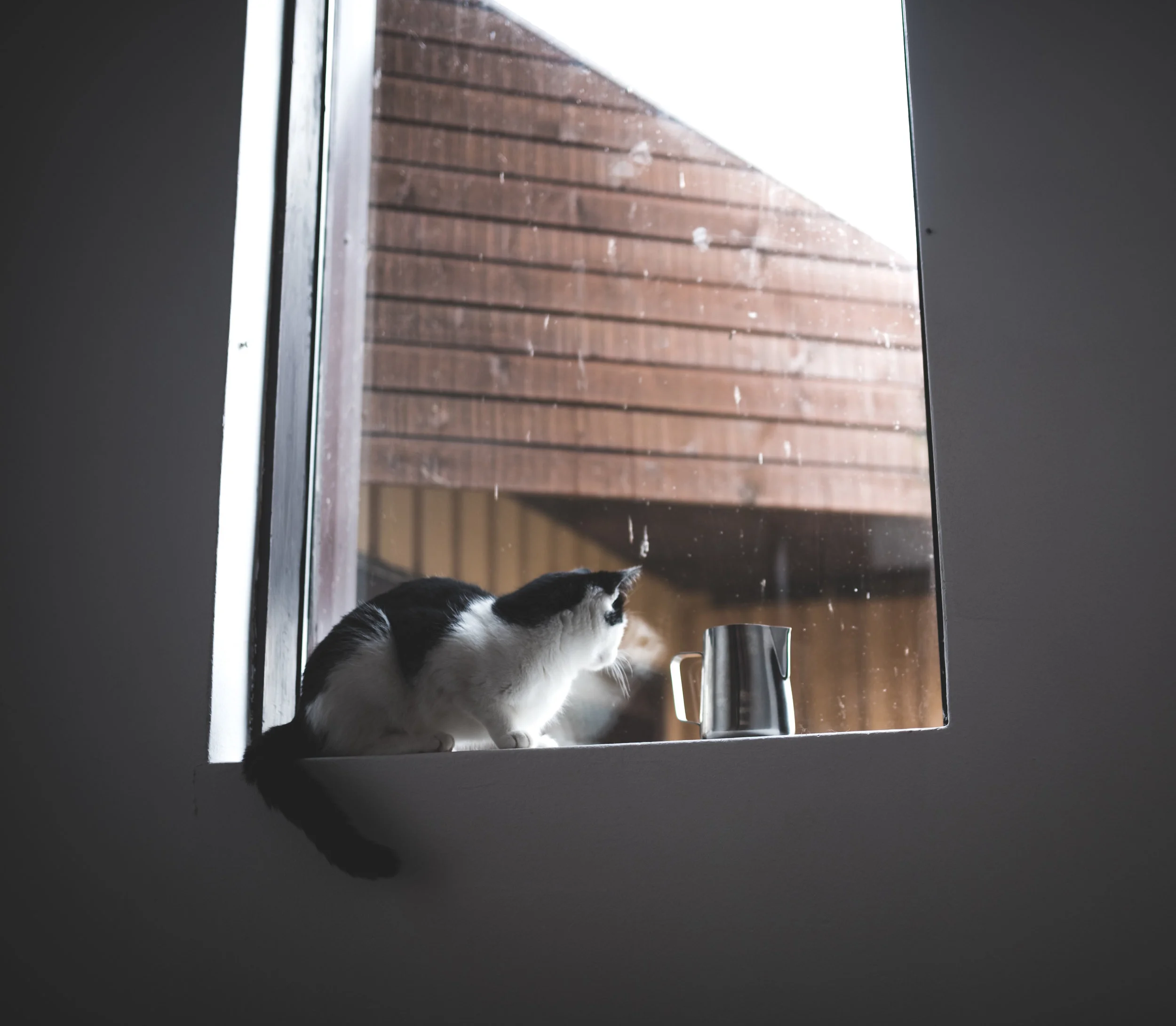 DSC_7864.jpg