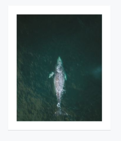 Screen Shot 2020-08-26 at 8.01.21 PM.png