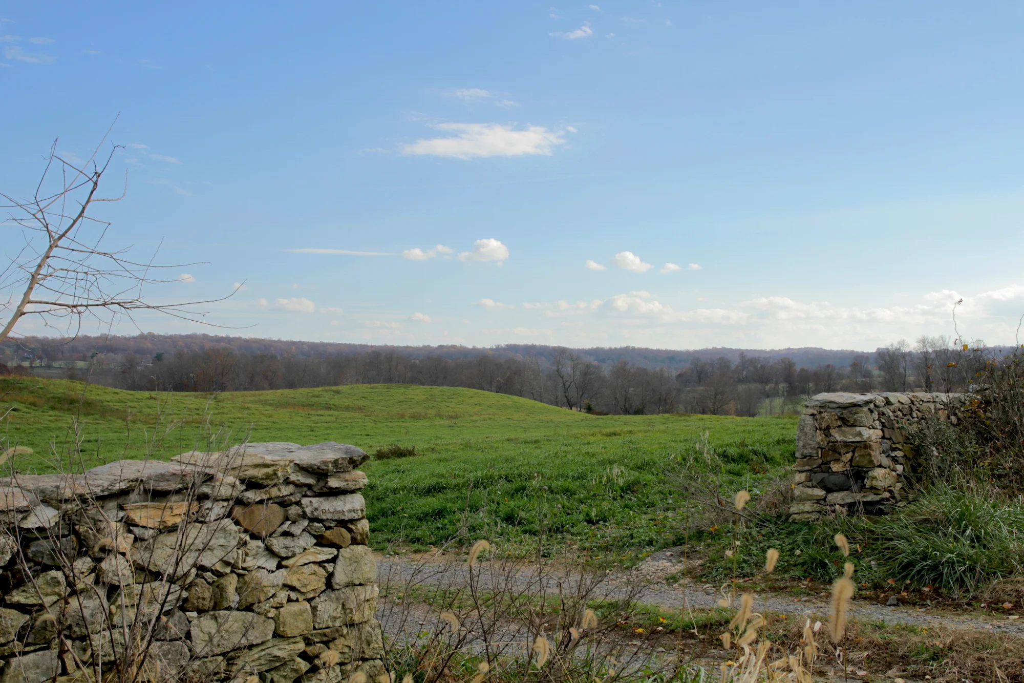 The countryside looking east towards Haymarket, VA. Photo by Sam Sheline.
