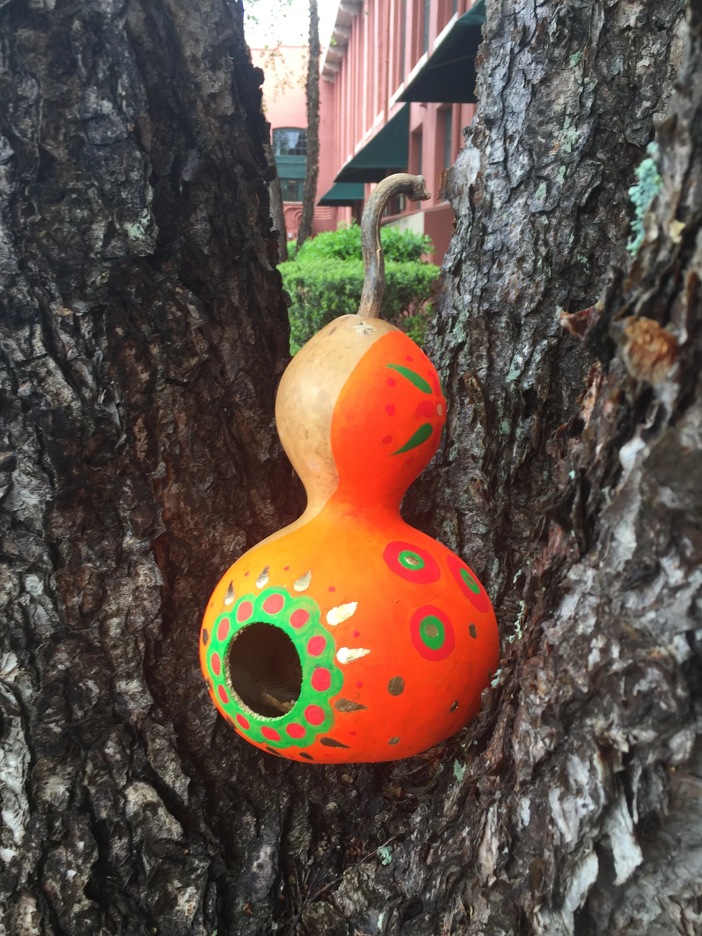Transient Beings: Gourd.JPG