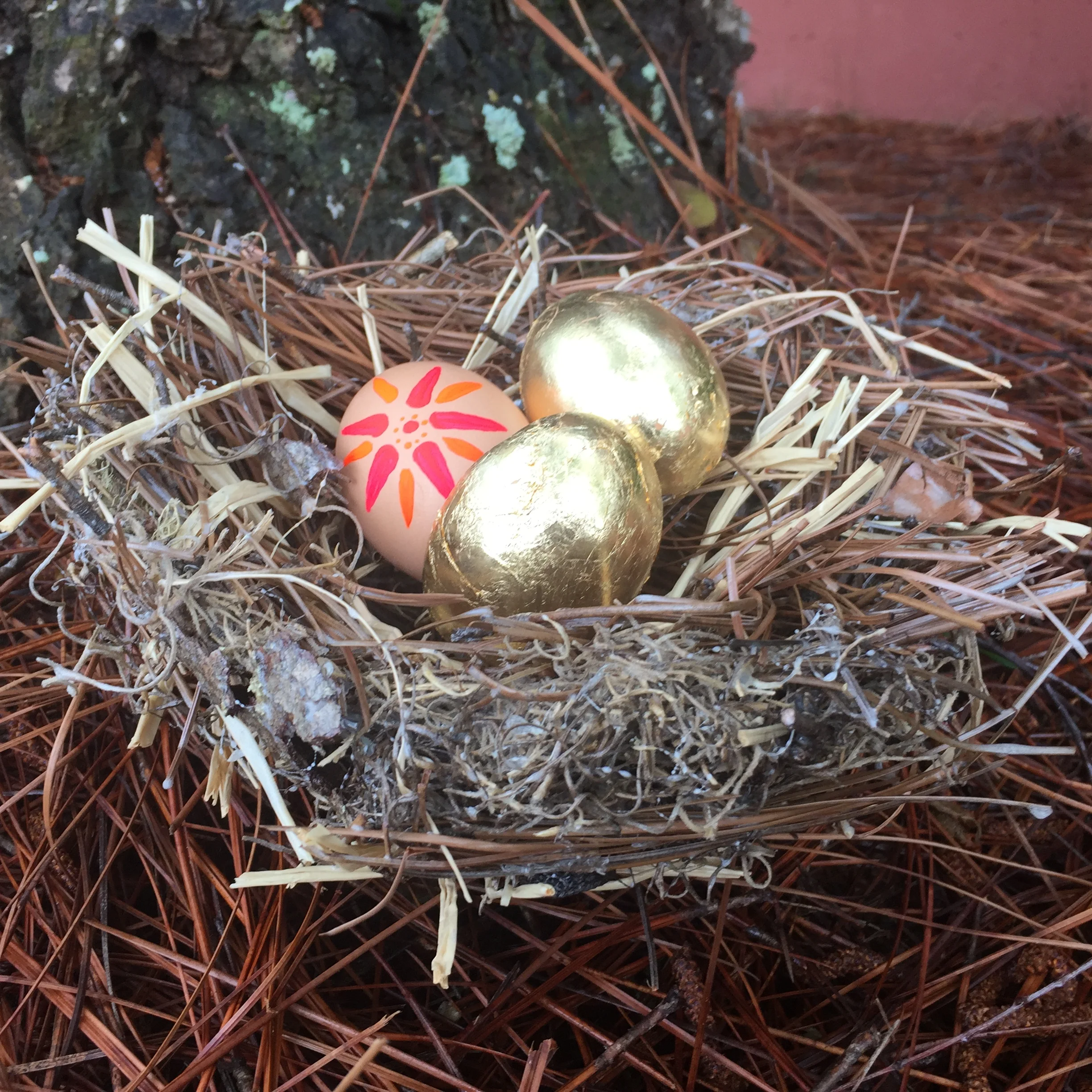 Transient Beings: Nesting.JPG