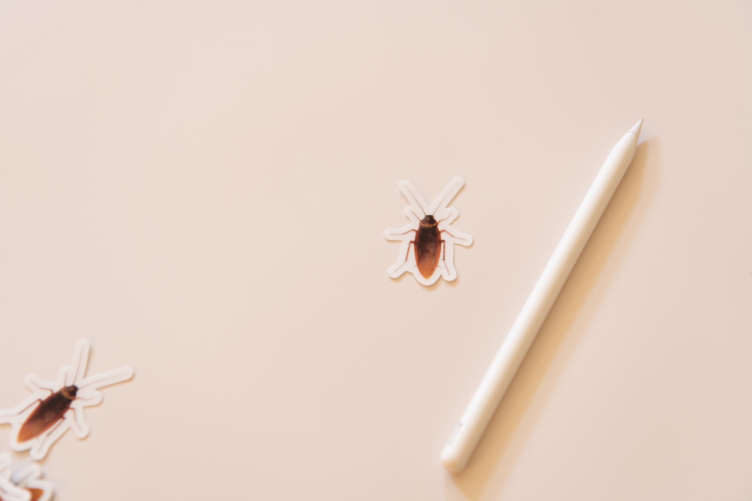 A4EFDCD2-29D2-4785-A774-7CD112B5F47A