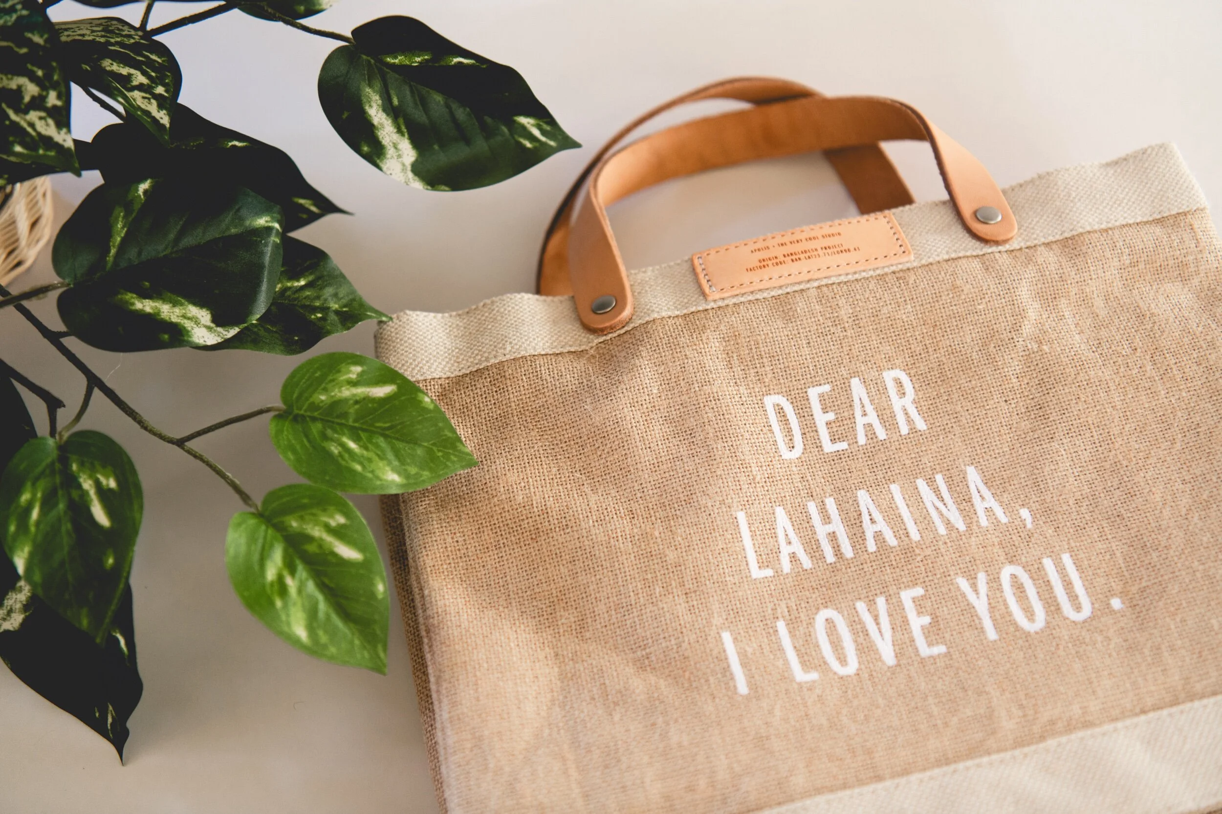 D9727121-277B-439B-A5BB-C319A04564D7