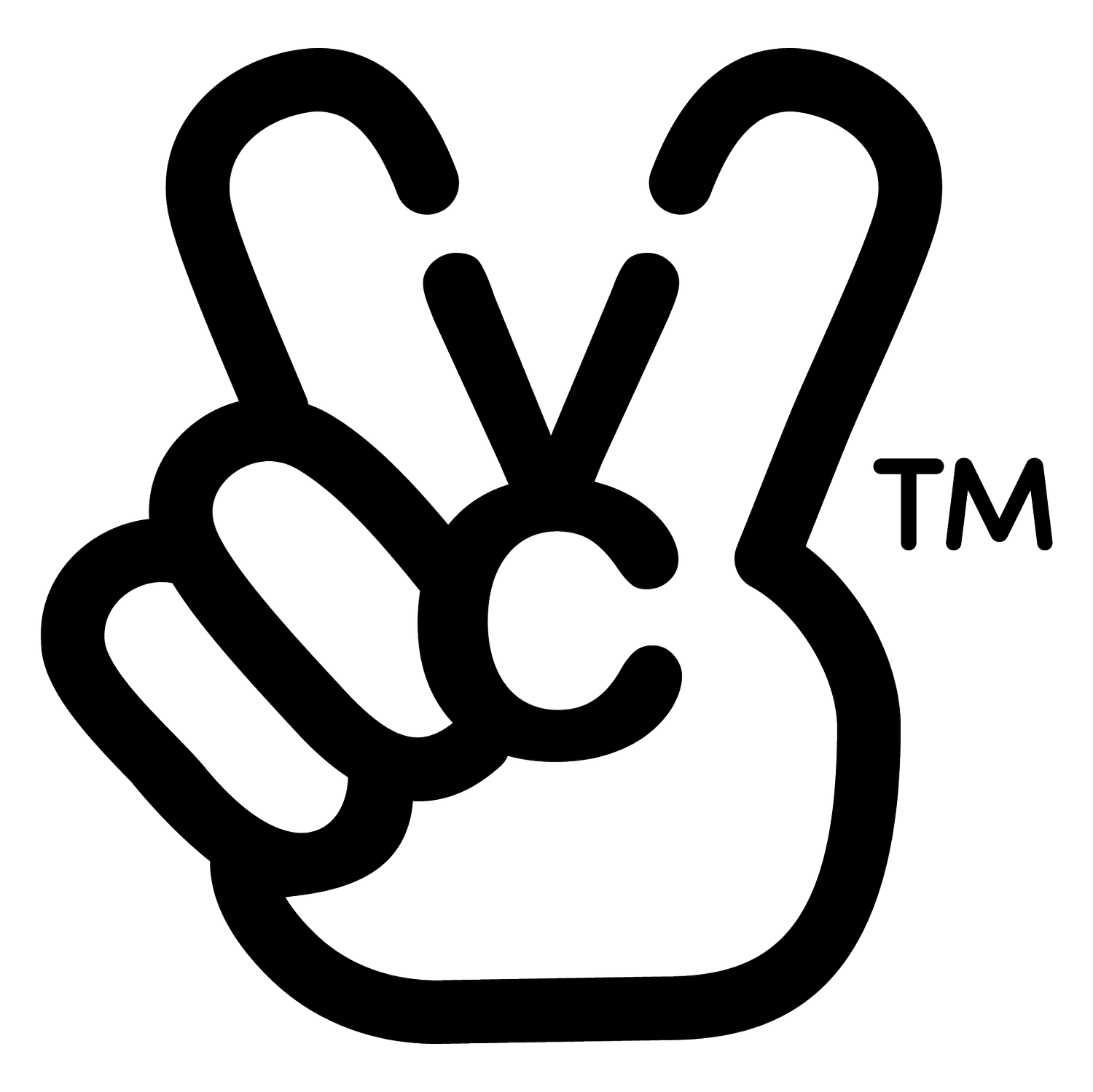 the very cool studio