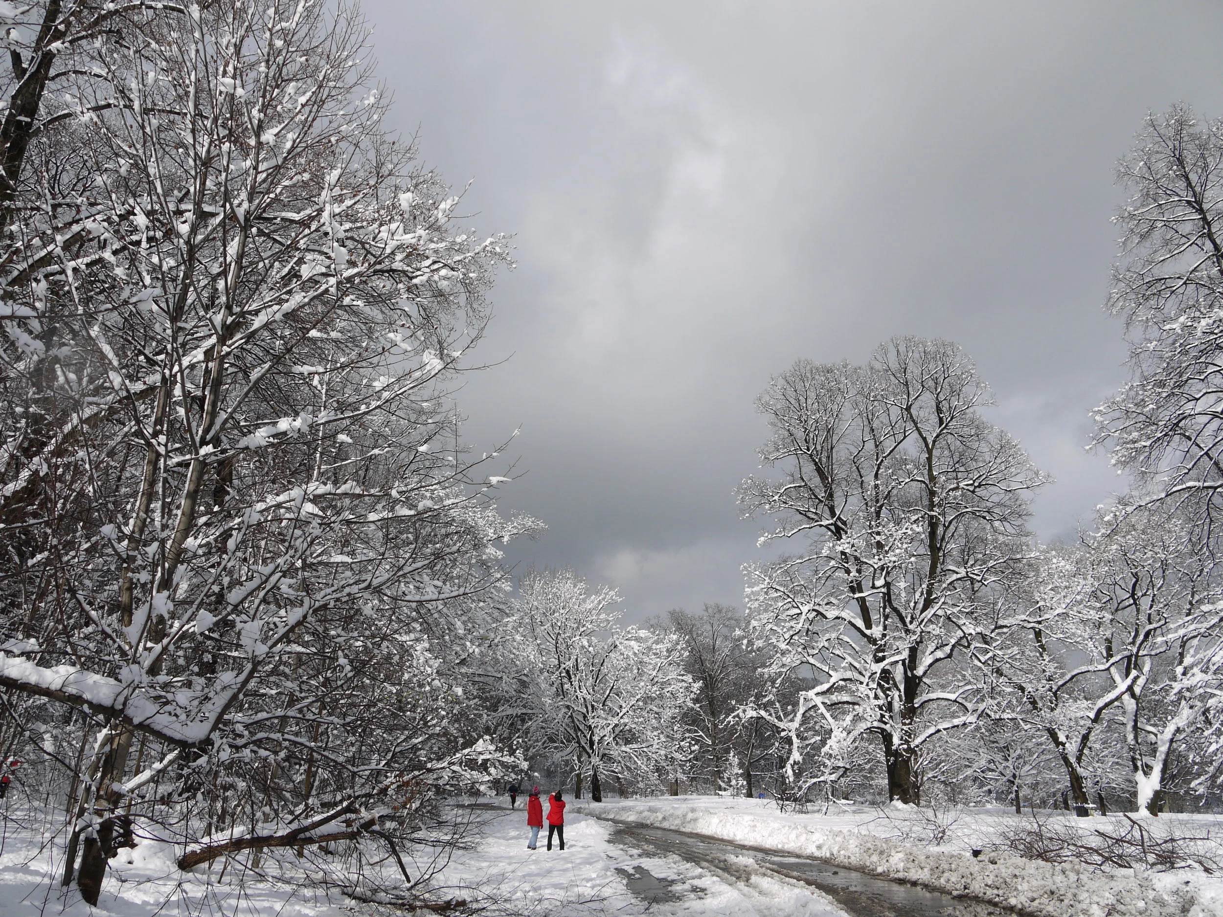 Prospect Park, Brooklyn