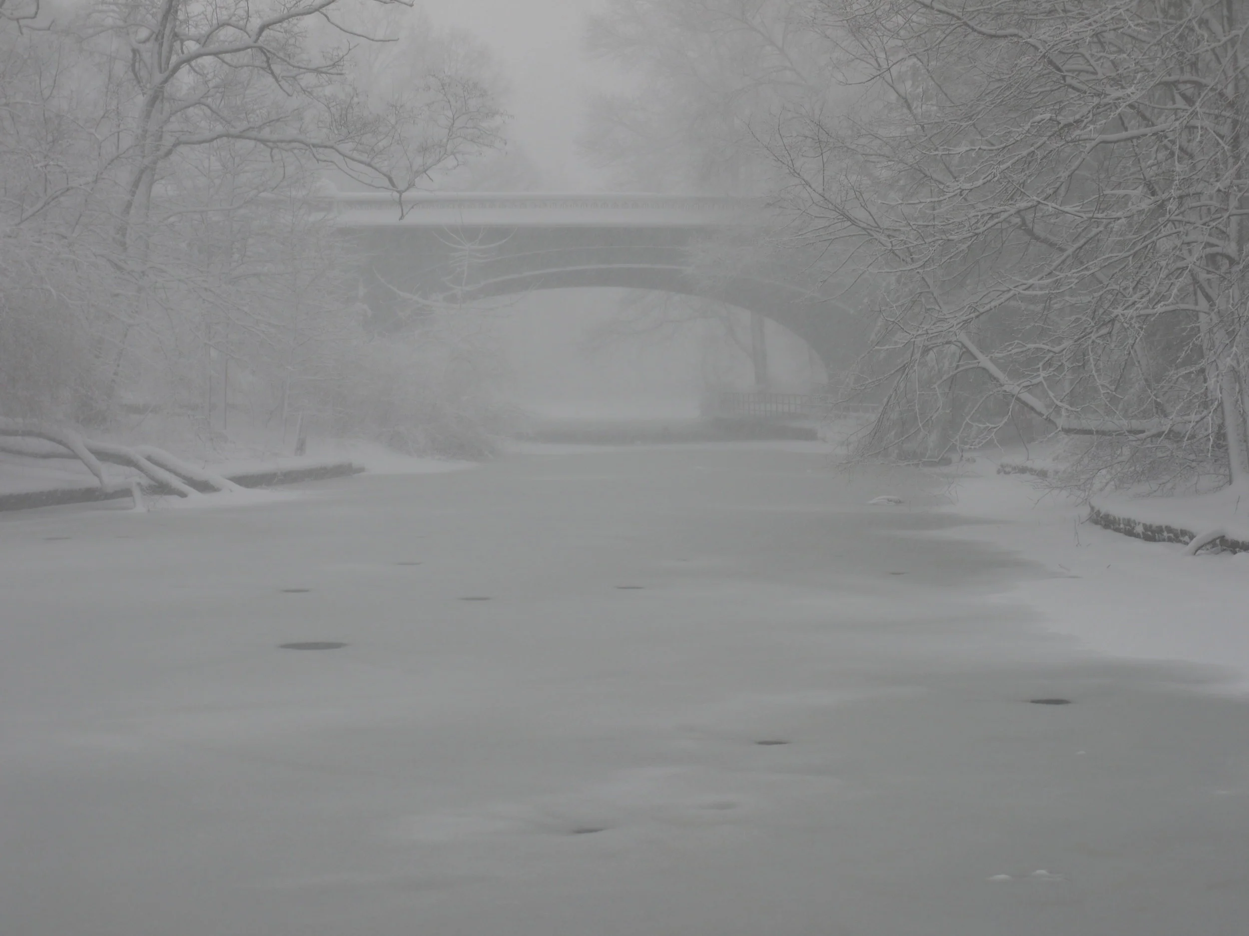 Prospect Park, Brooklyn