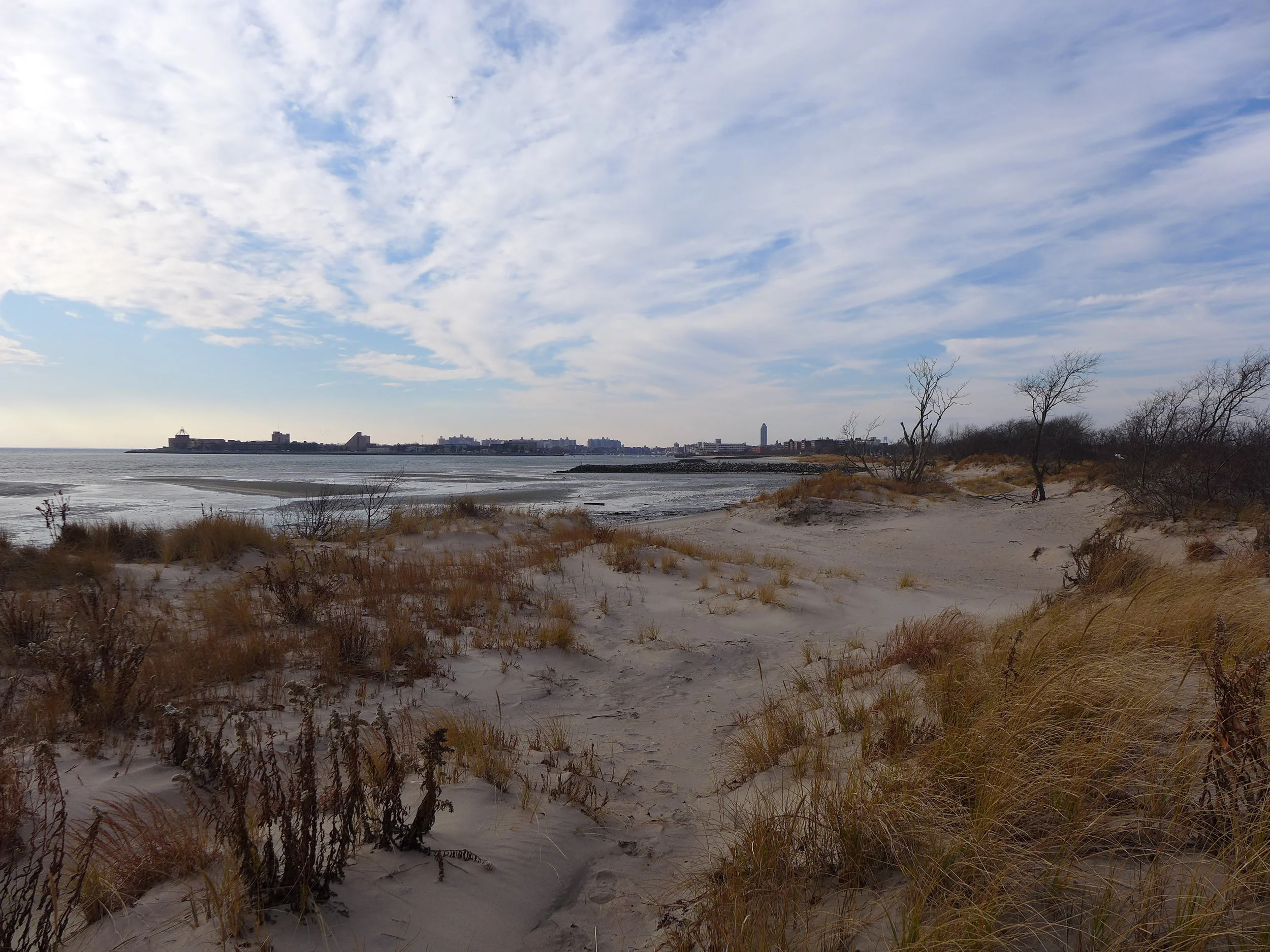 Point Breeze Dunes