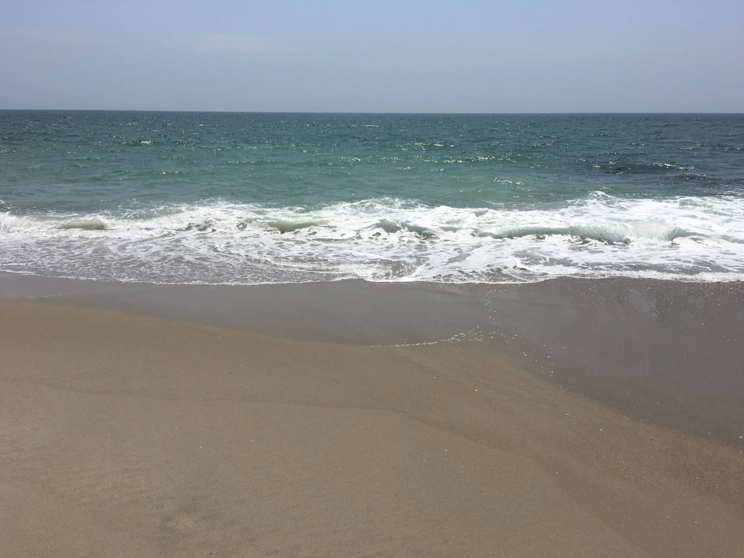 Bottle Green Seas