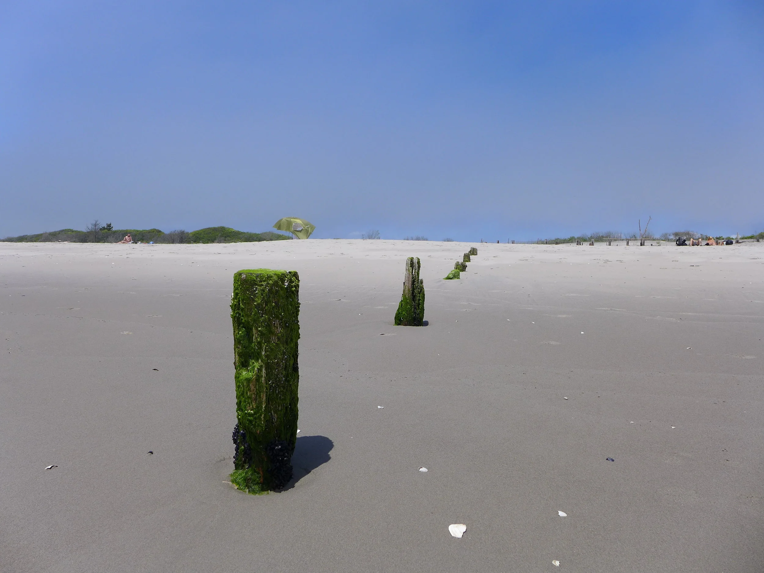 Pilings, Ft. Tilden Beach