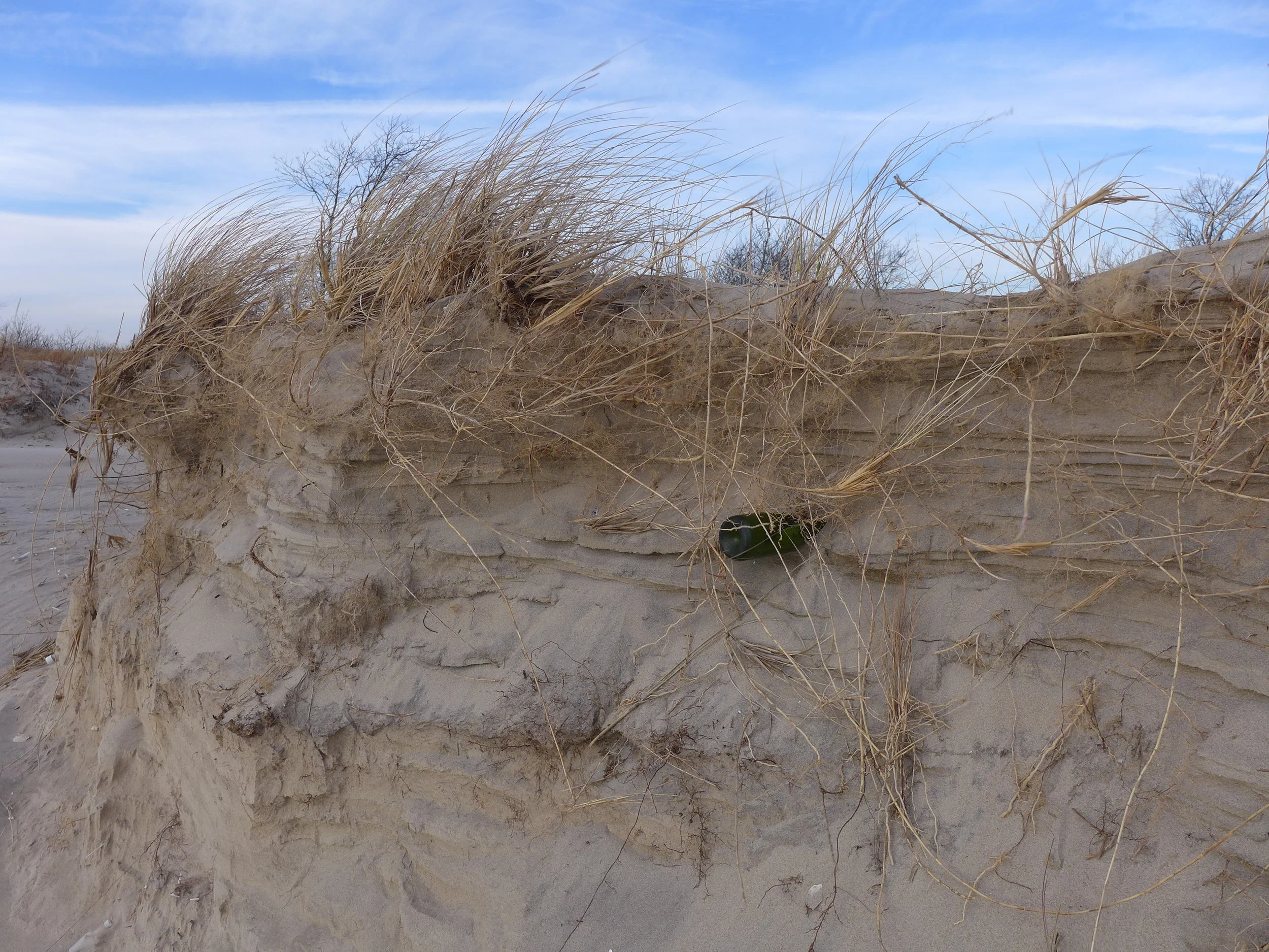 Bottle in the Dunes, Plumb Beach