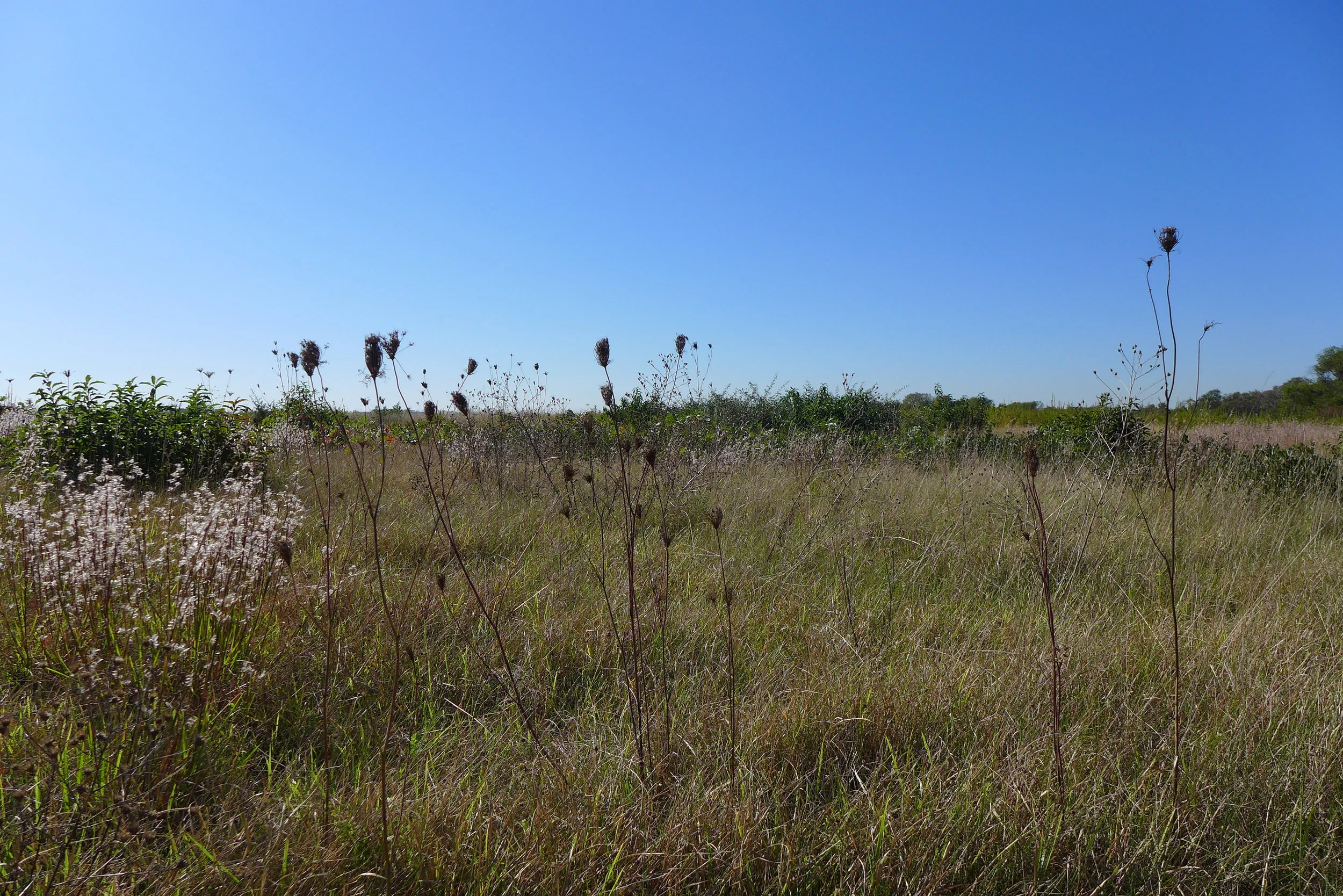 Floyd Bennett Field