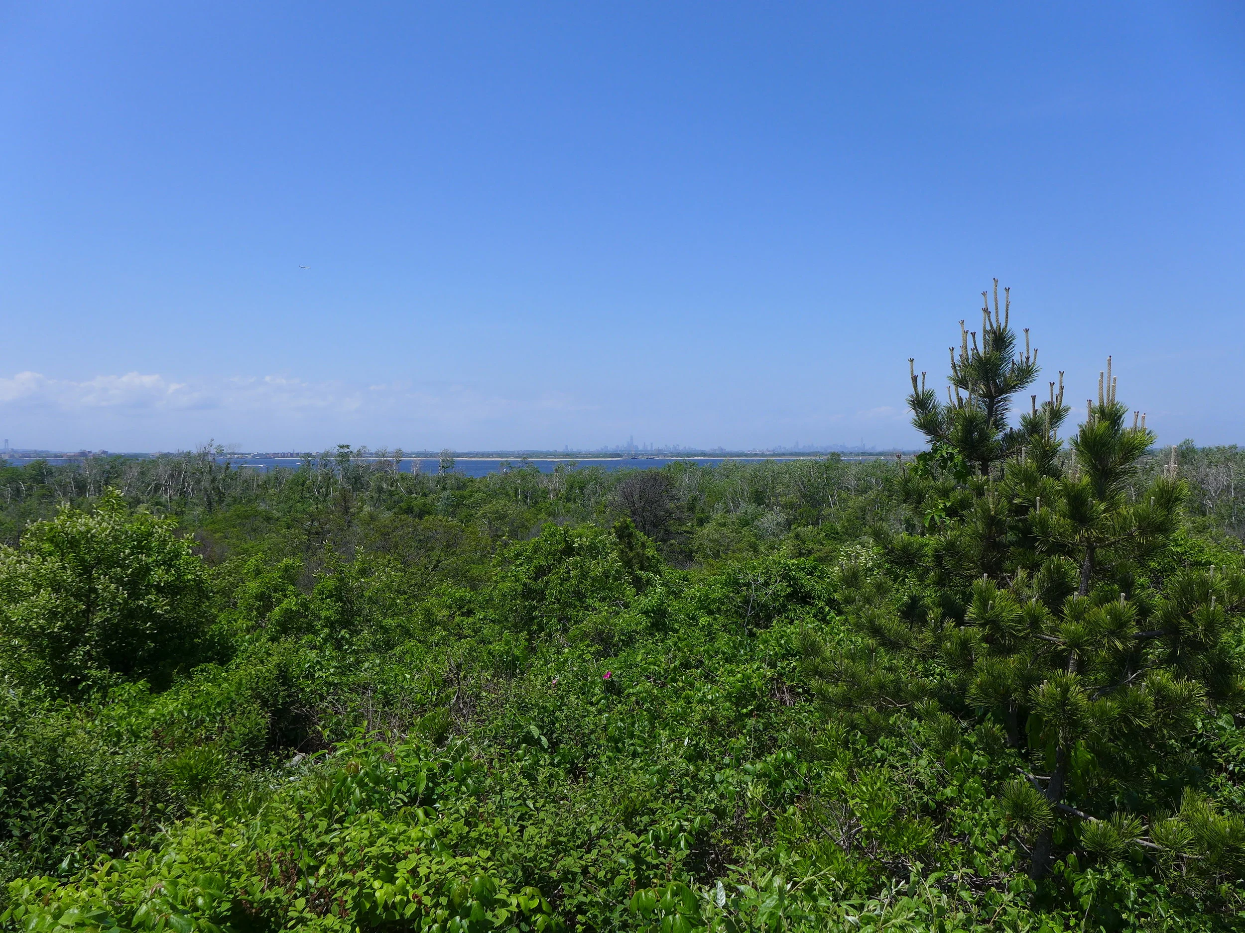 View From Ft. Tilden Gunmounts