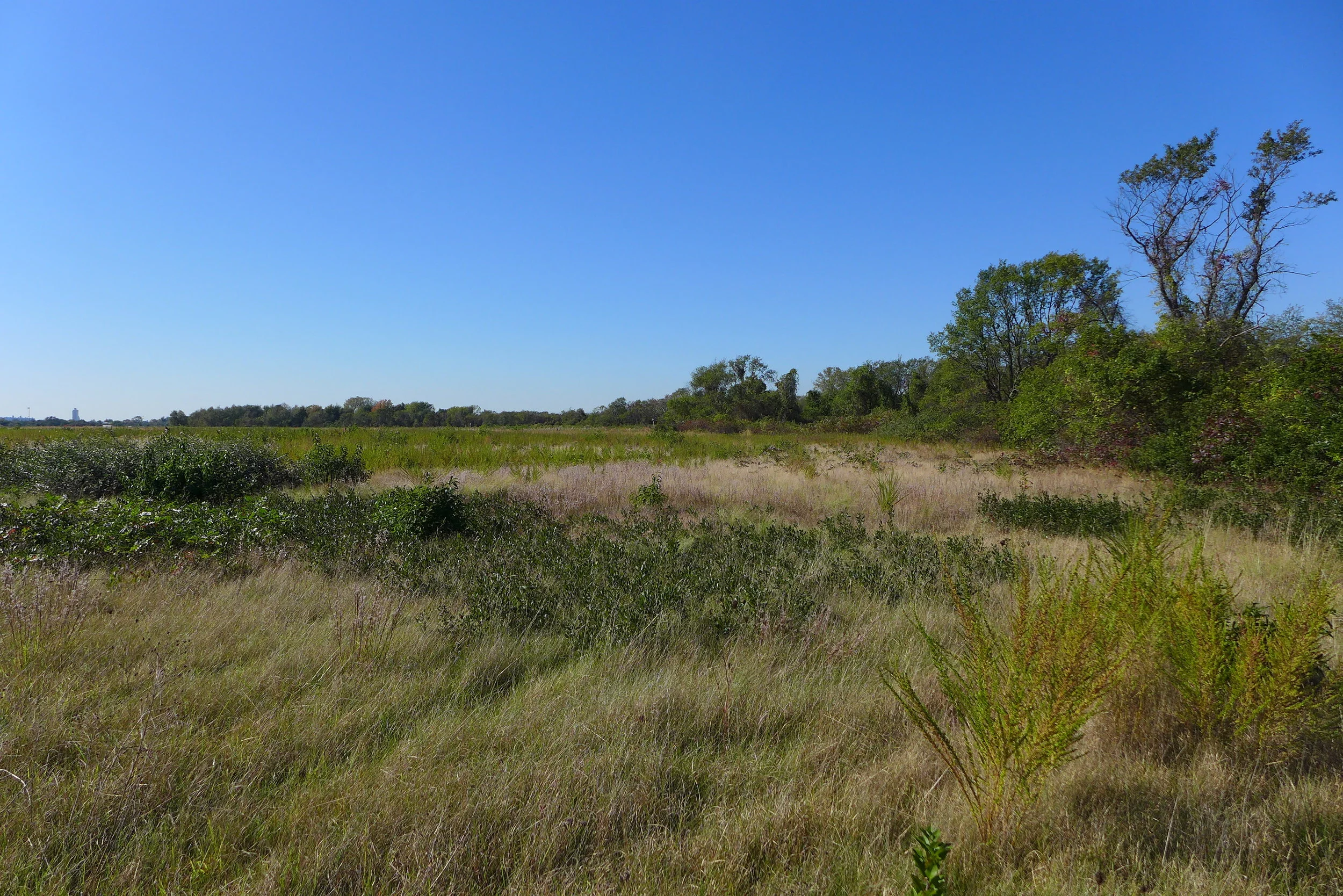 Floyd Bennett Field