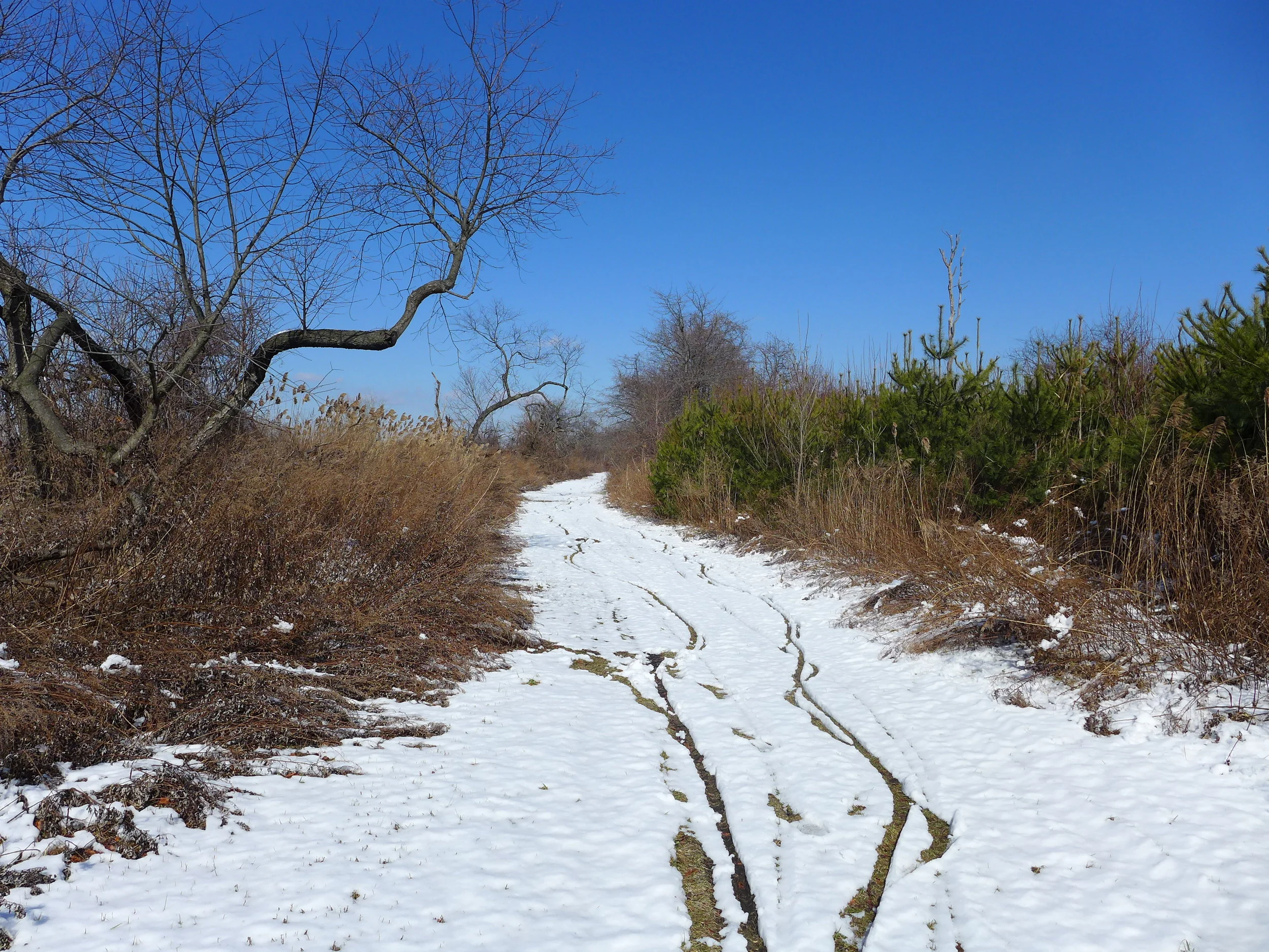 Winter Riding in Floyd Bennett Field