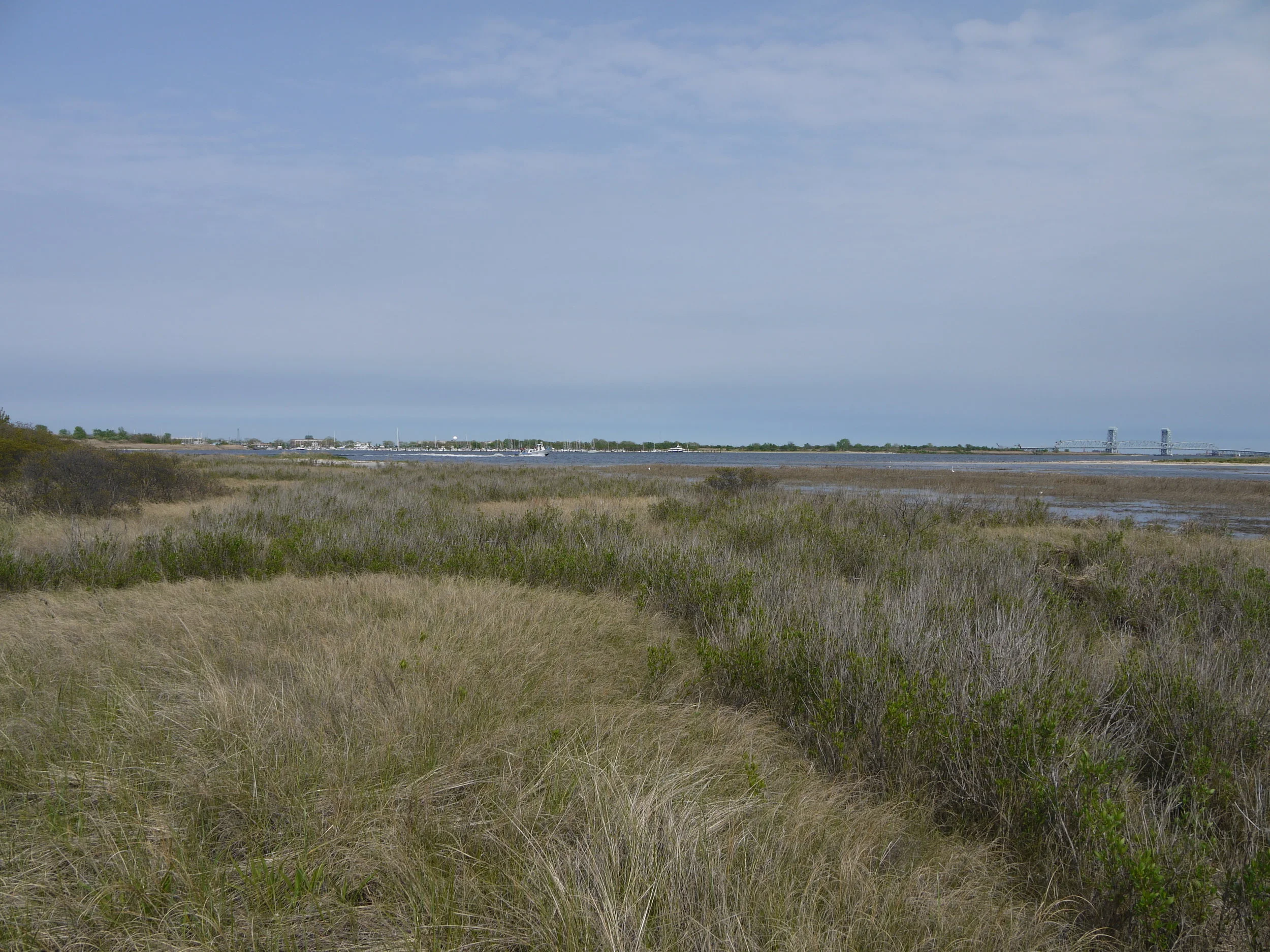 Dead Horse Bay