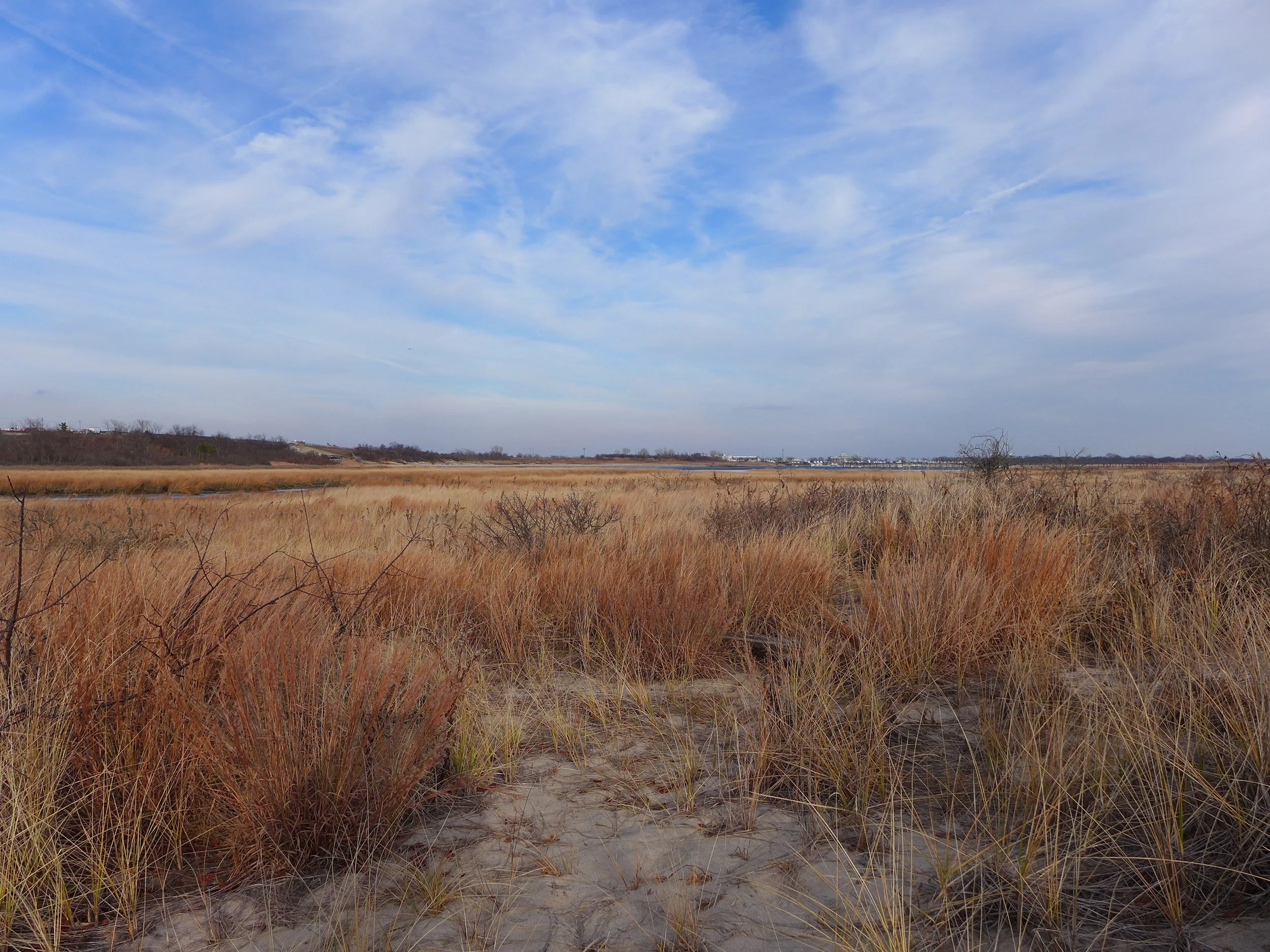 Dead Horse Bay