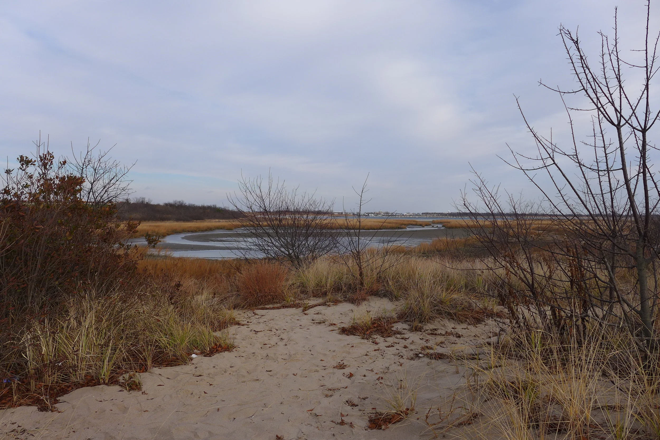 Dead Horse Bay