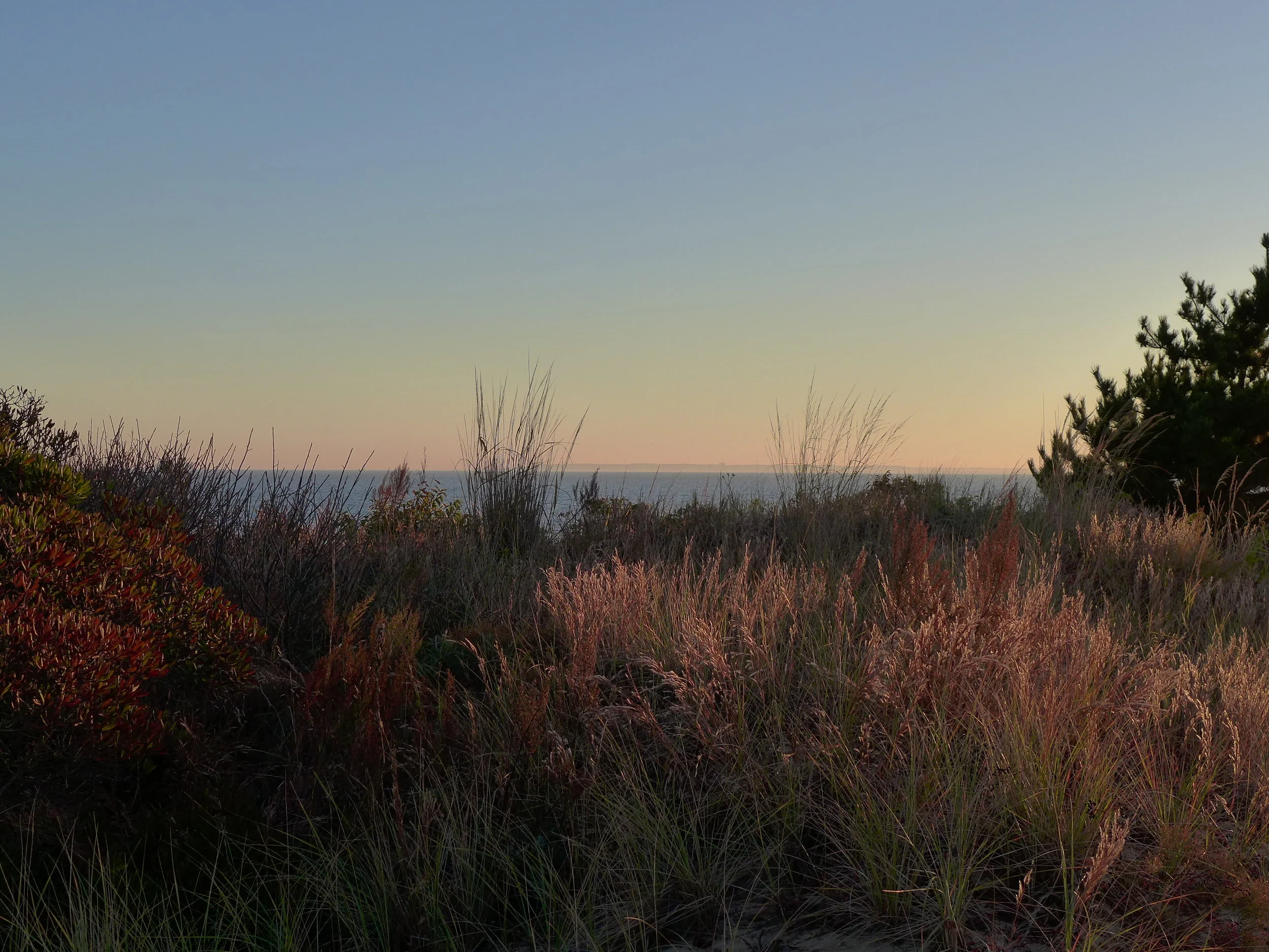 Atlantic Ocean from Ft. Tilden Dunes