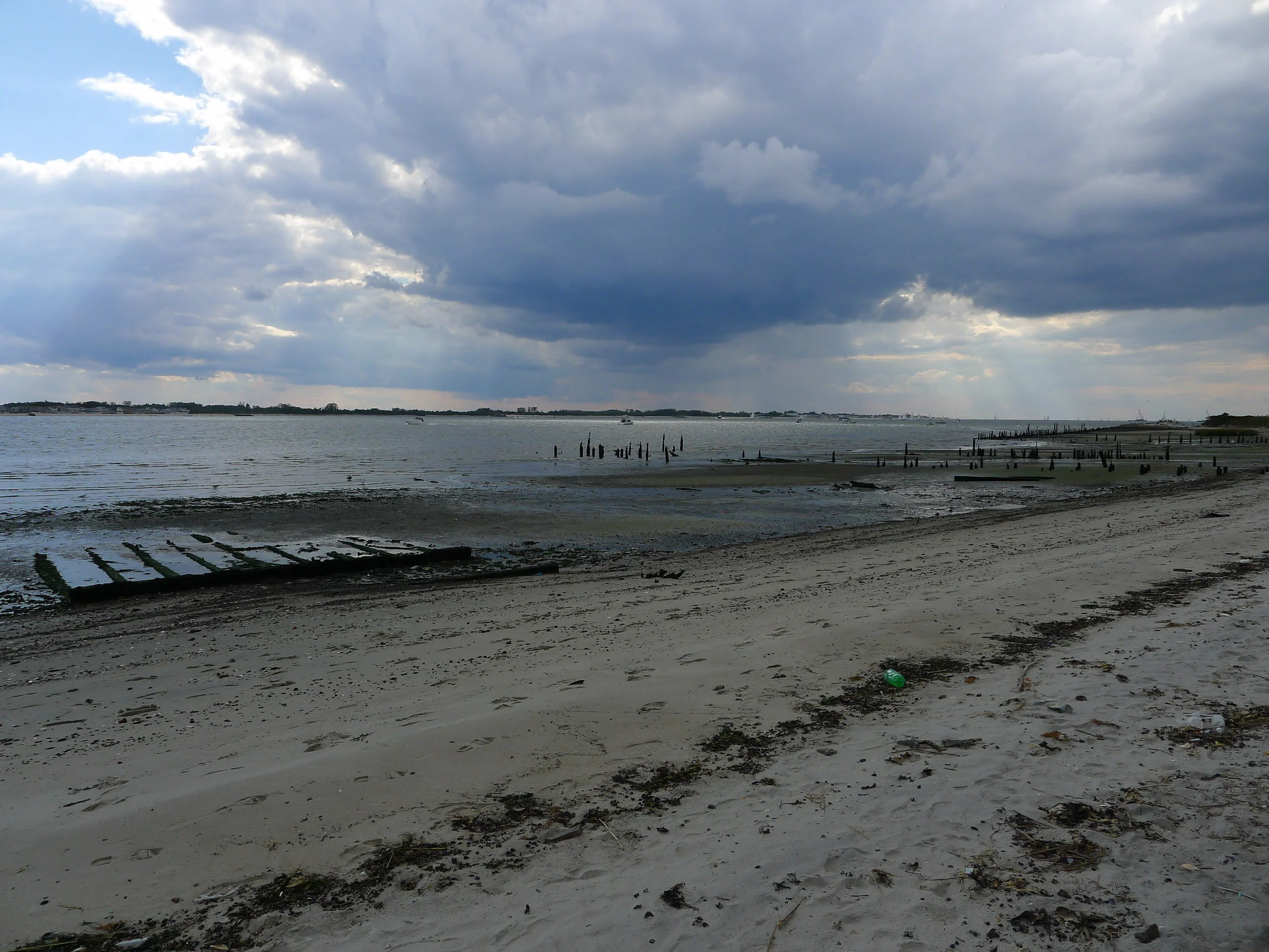 Dead Horse Bay