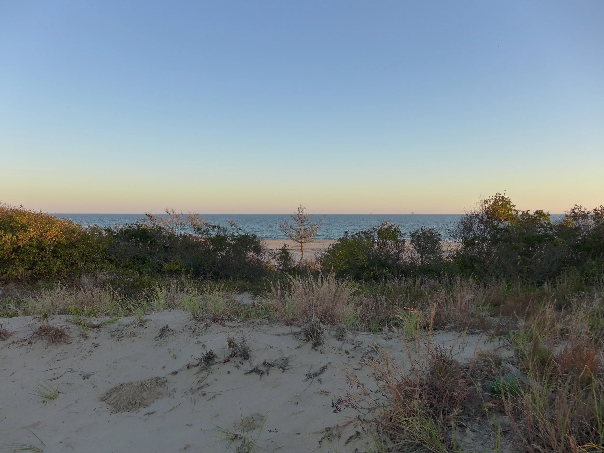 Ft. Tilden Dunes