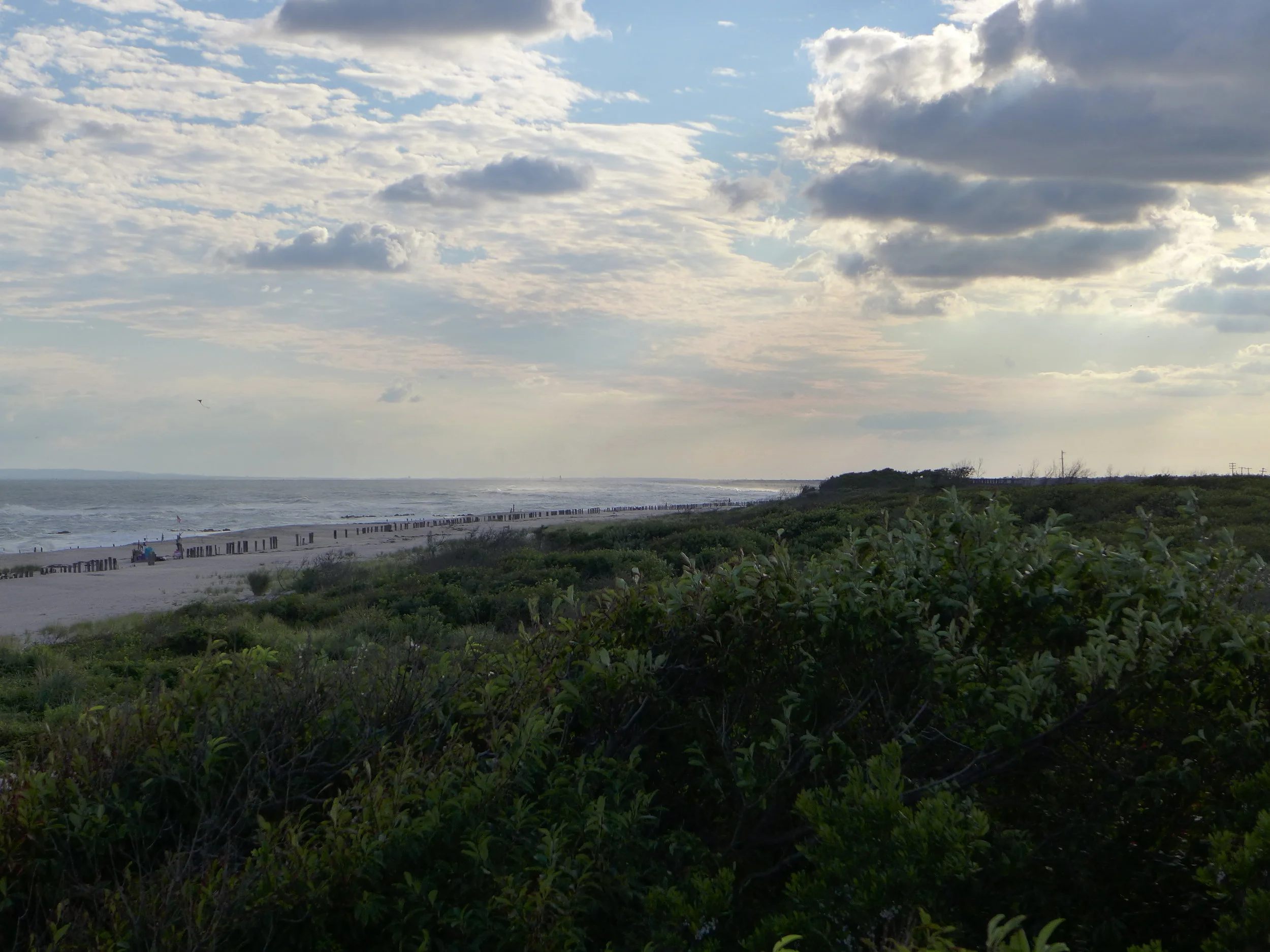 Ft. Tilden Dunes