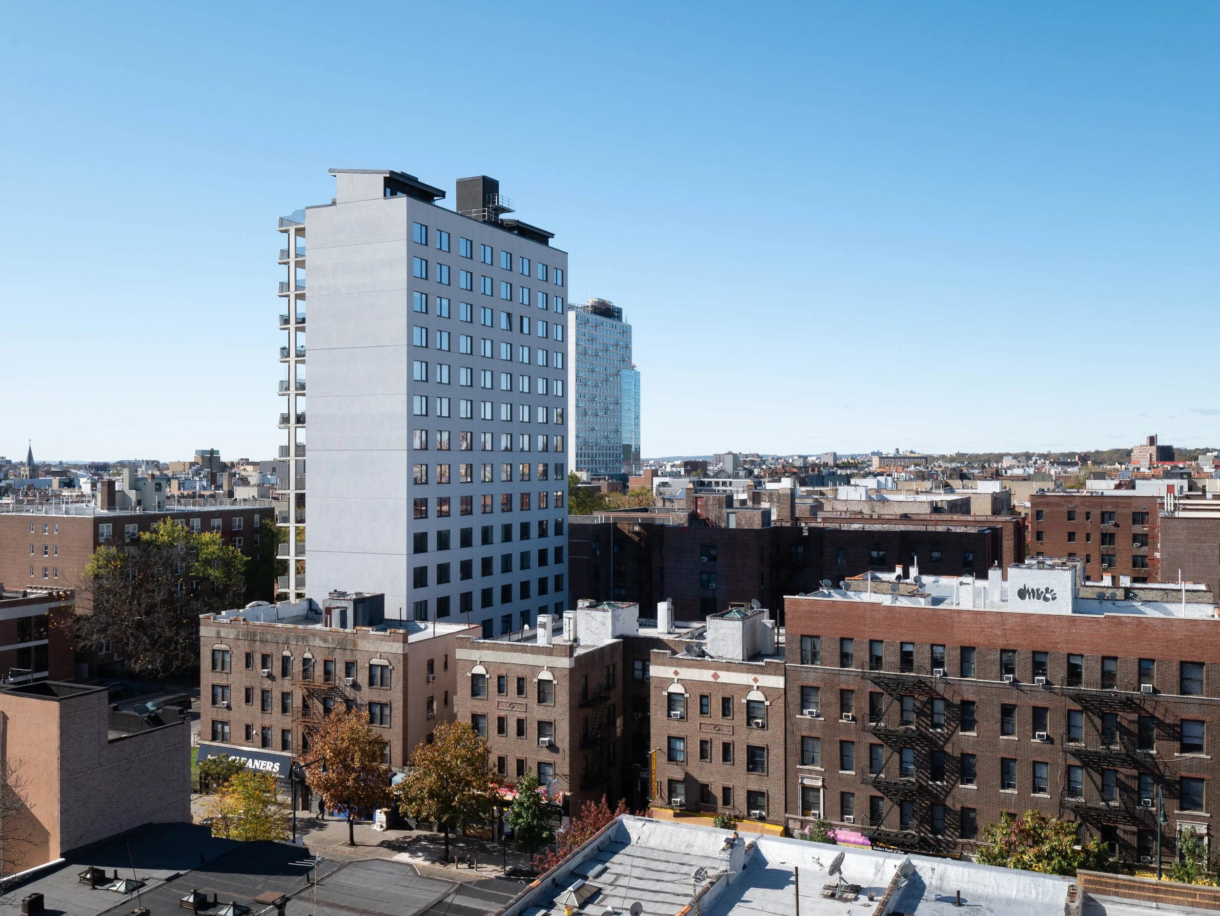 roof flatbush view-1.jpg