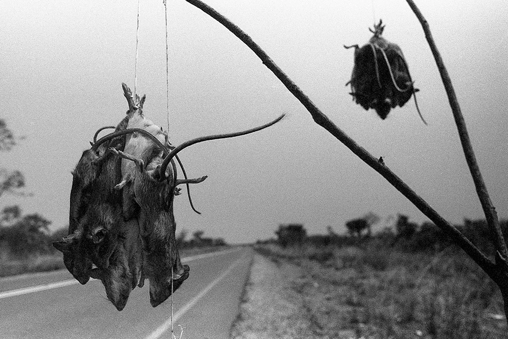 Saurimo | Minolta X700 Minolta MD 28mm F2.8, Ilford HP5+ 400
