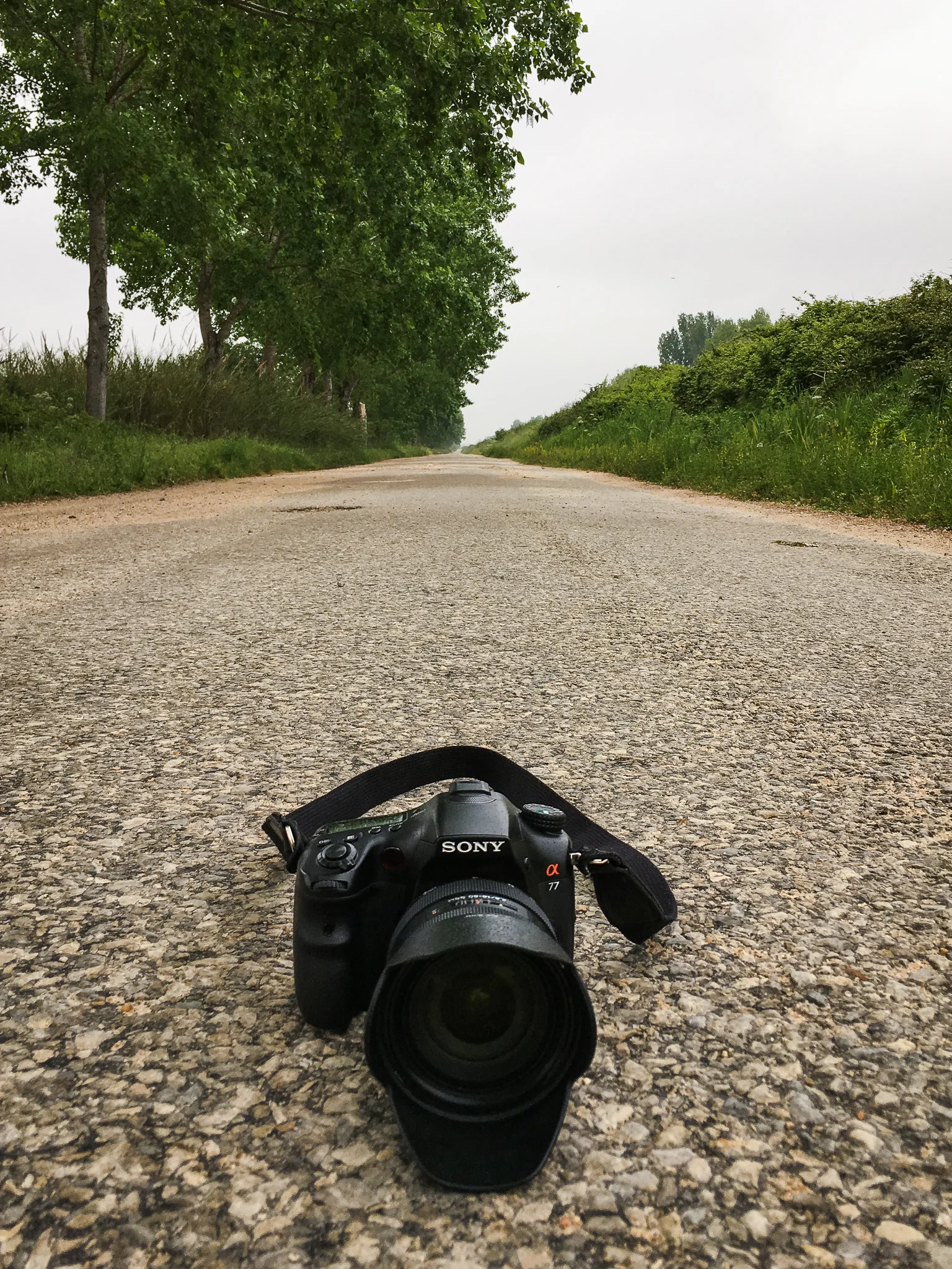 The Sony A77, still wet after a short period of rain in the first day of the pilgrimage.