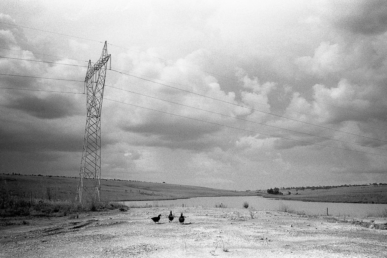 2013, Ricoh GR1s, Kodak TriX 400