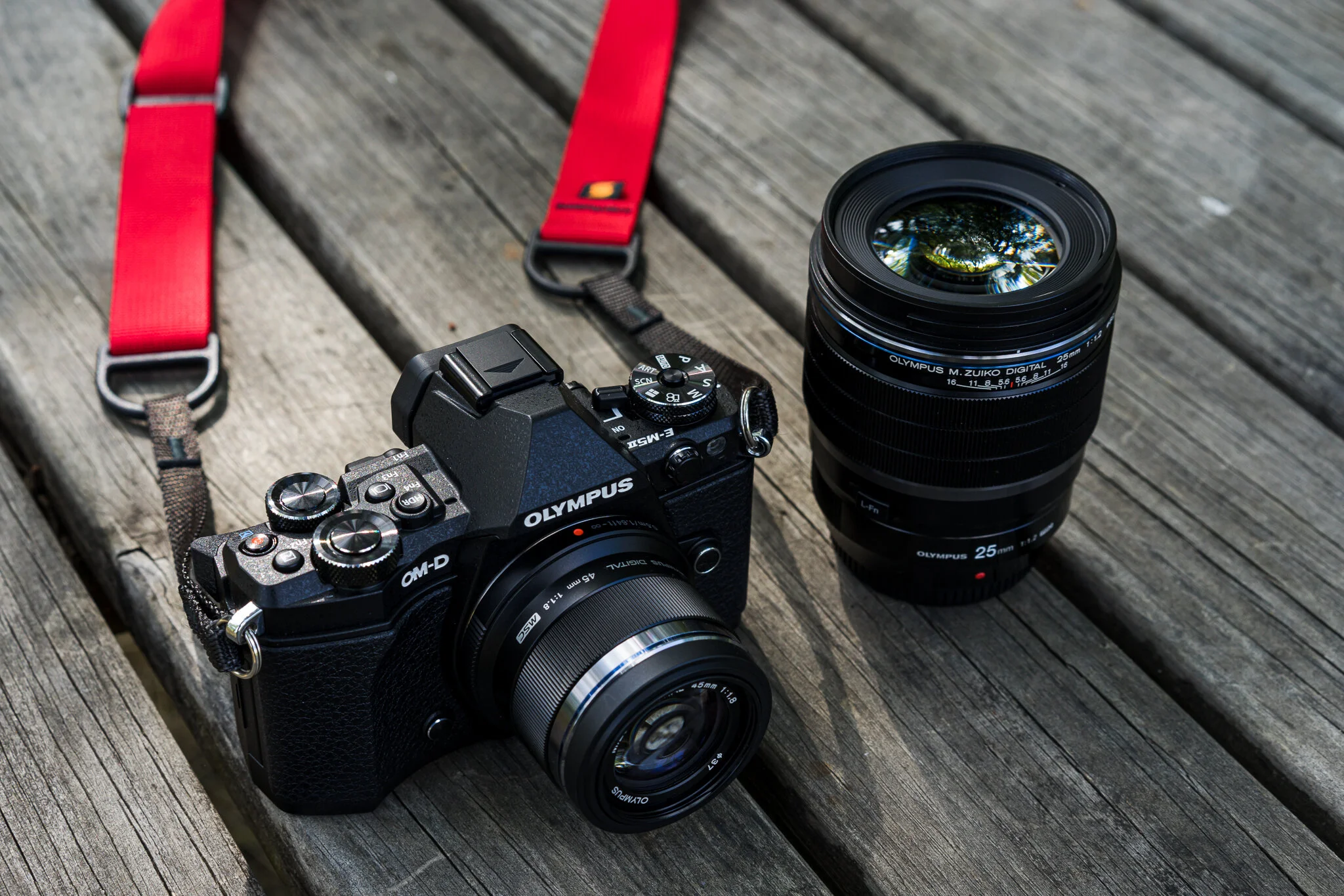 Photography Muscle 5B.jpg