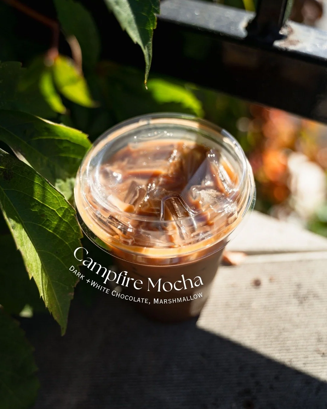 “Life starts all over again when it gets crisp in the fall.” π 
— F. Scott Fitzgerald 
Our Campfire Mocha tastes just like that feeling — dark and white chocolate, a touch of marshmallow, and all the warmth you need to start
