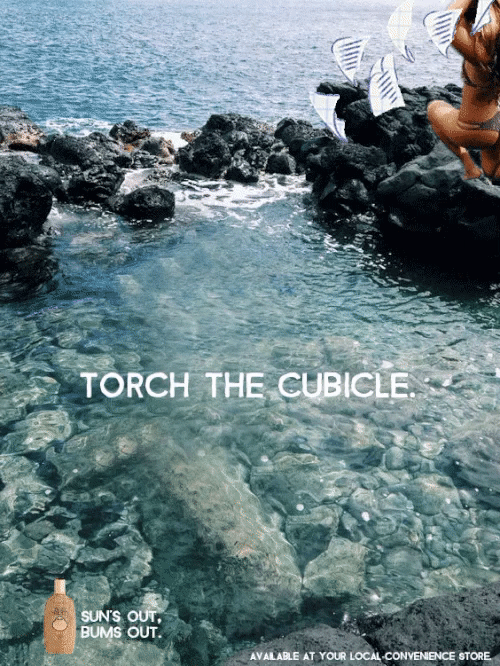 torch cubicle gif.gif
