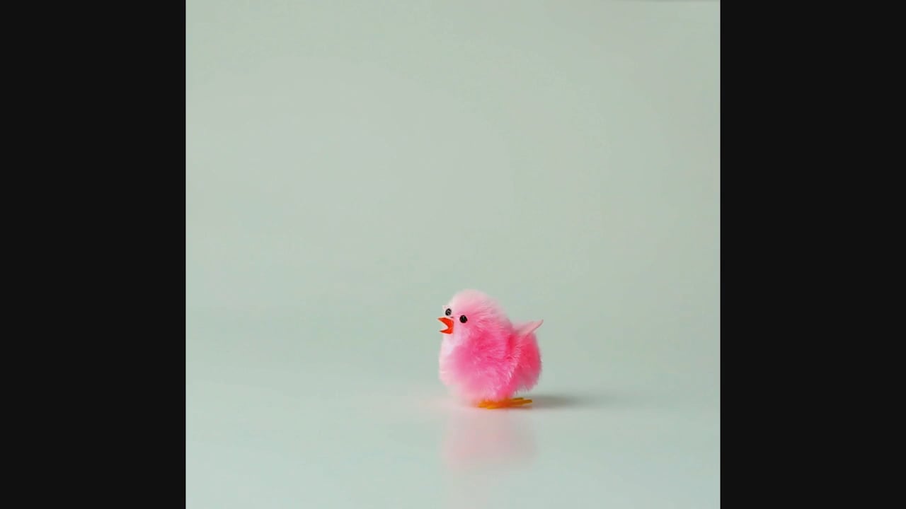 CHICKS LOVE US
