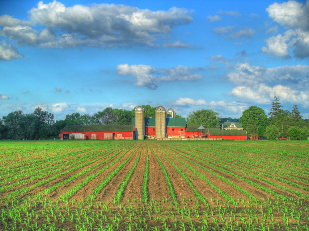 farmhouseandsilo.jpg
