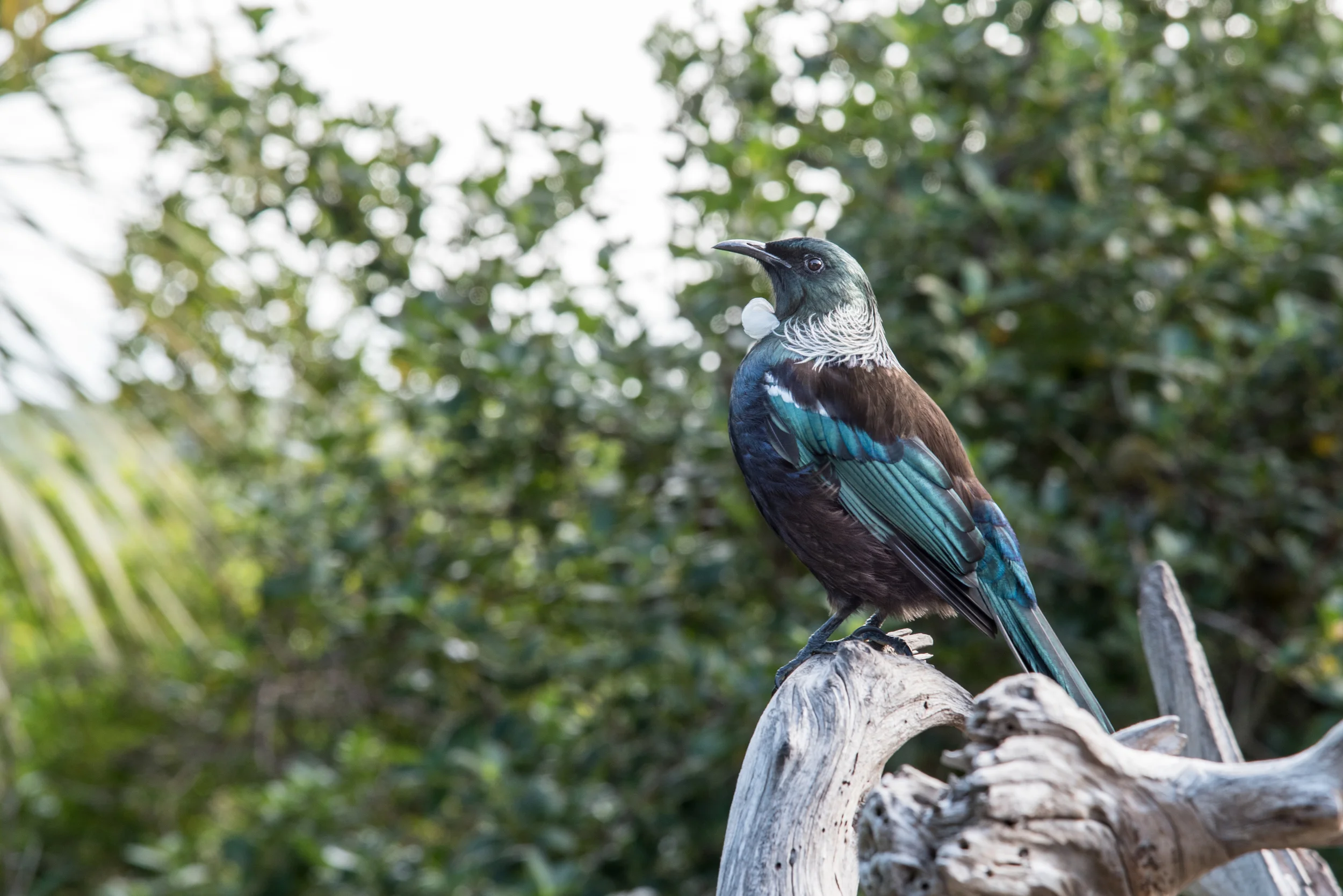 DSC_1561.jpg