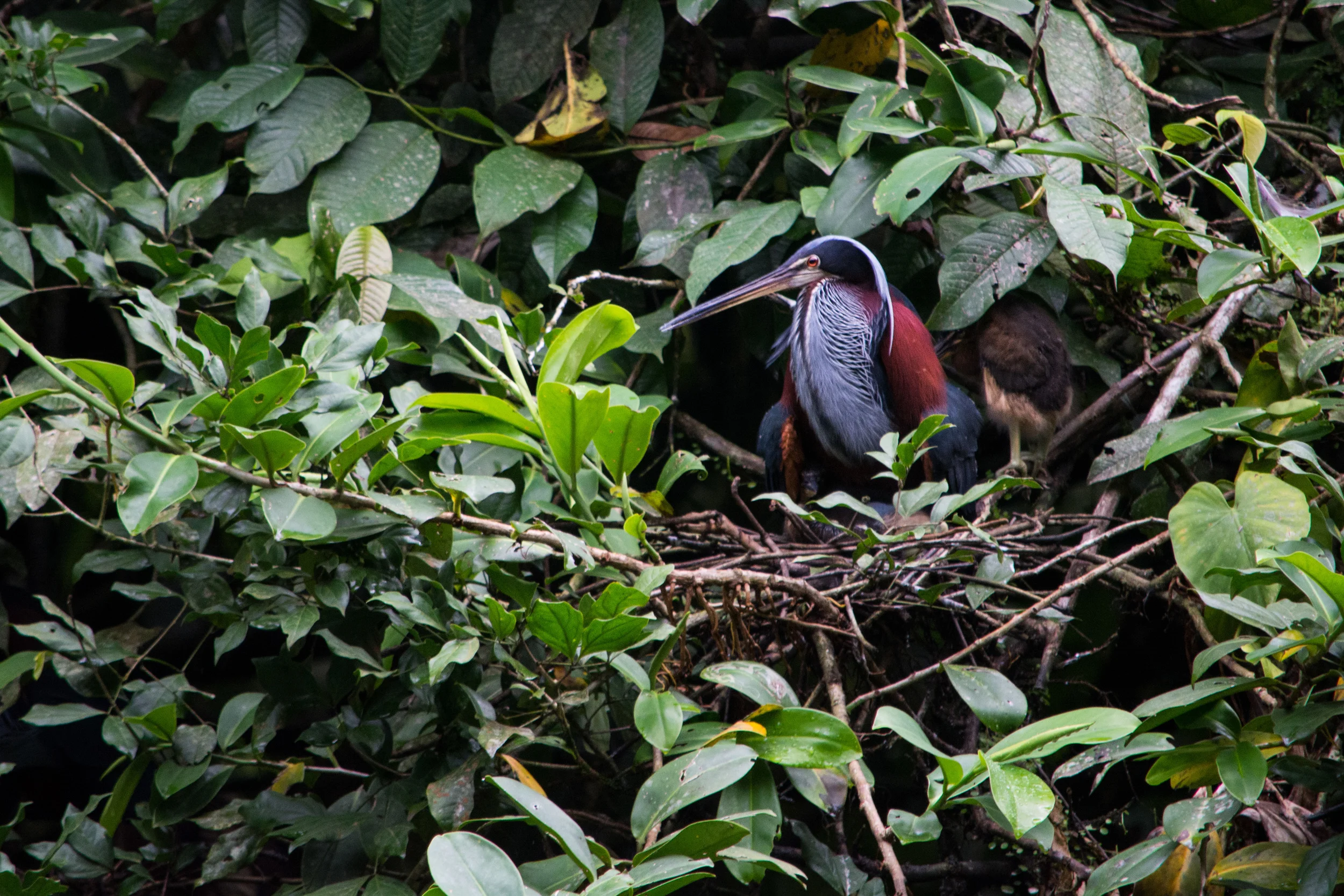 Image 45.jpg