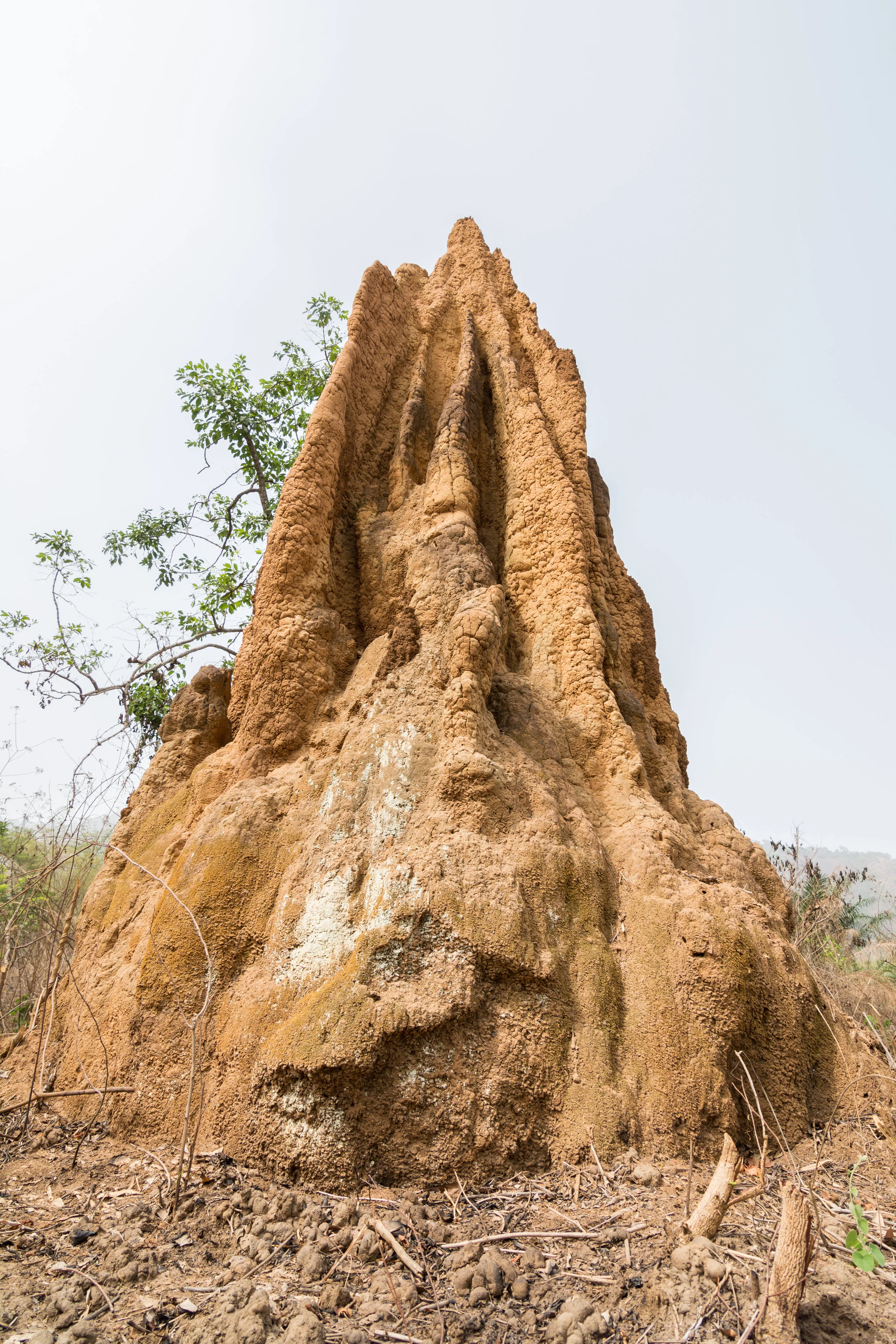DSC_0721.jpg