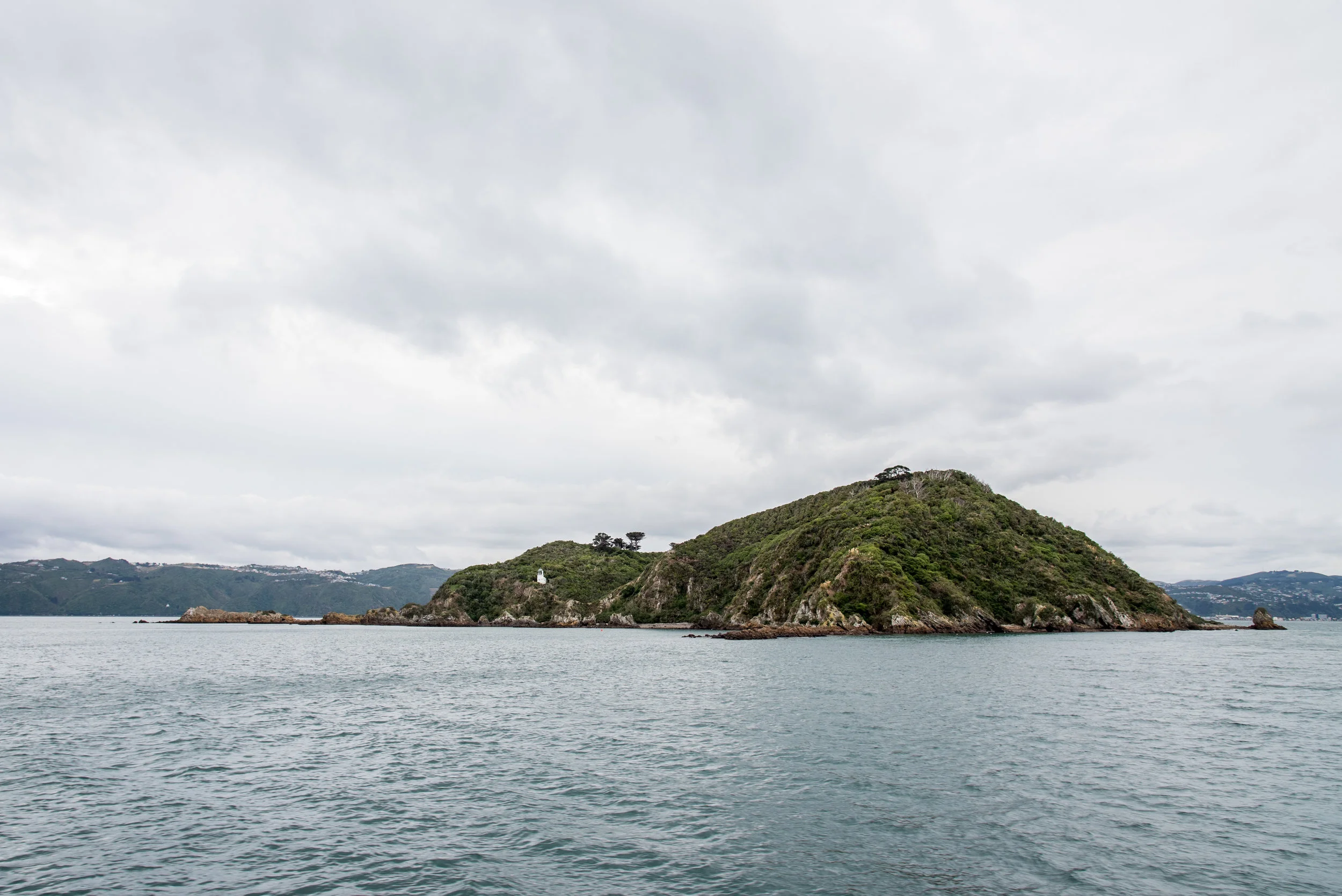 DSC_2118.jpg