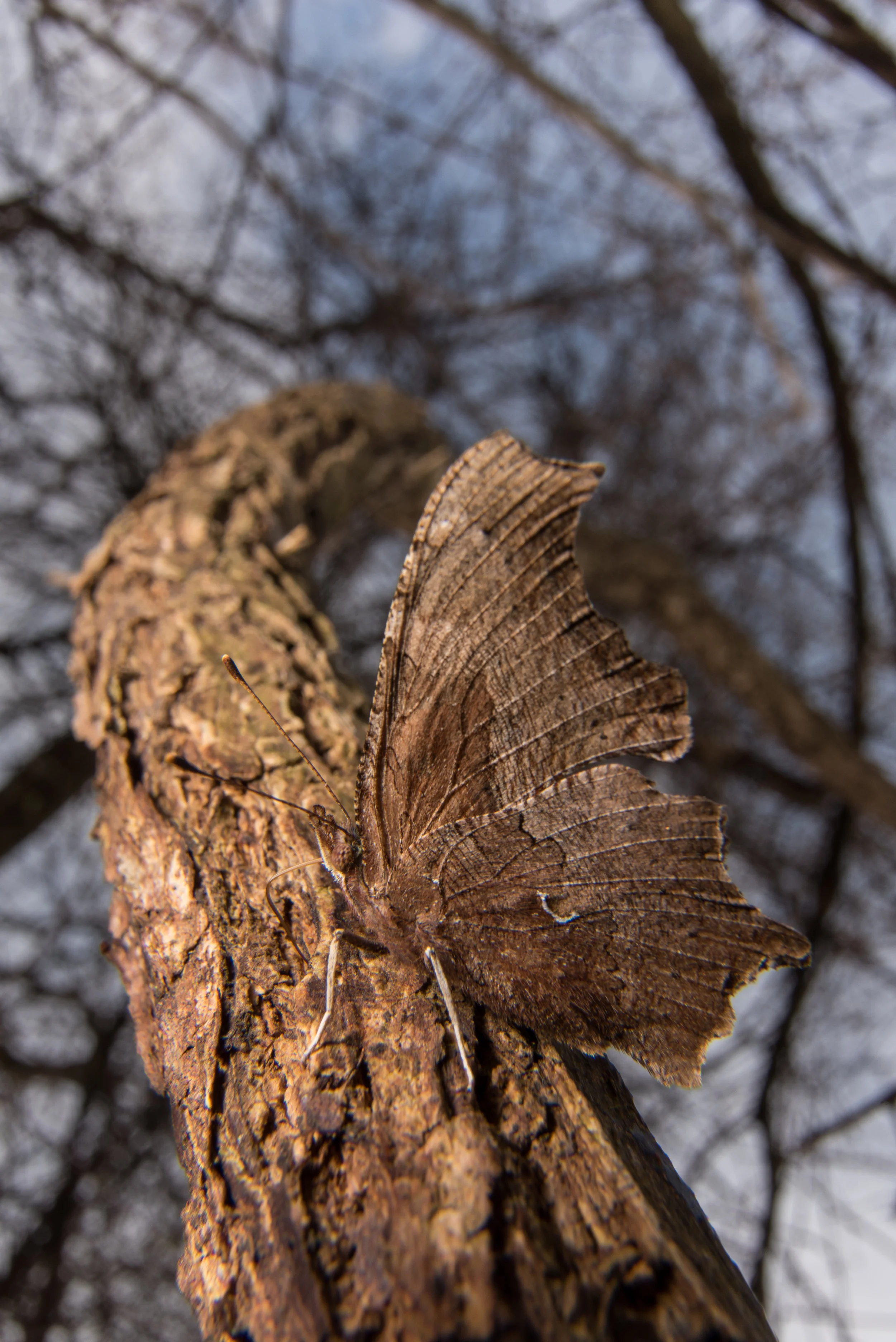 DSC_9152.jpg