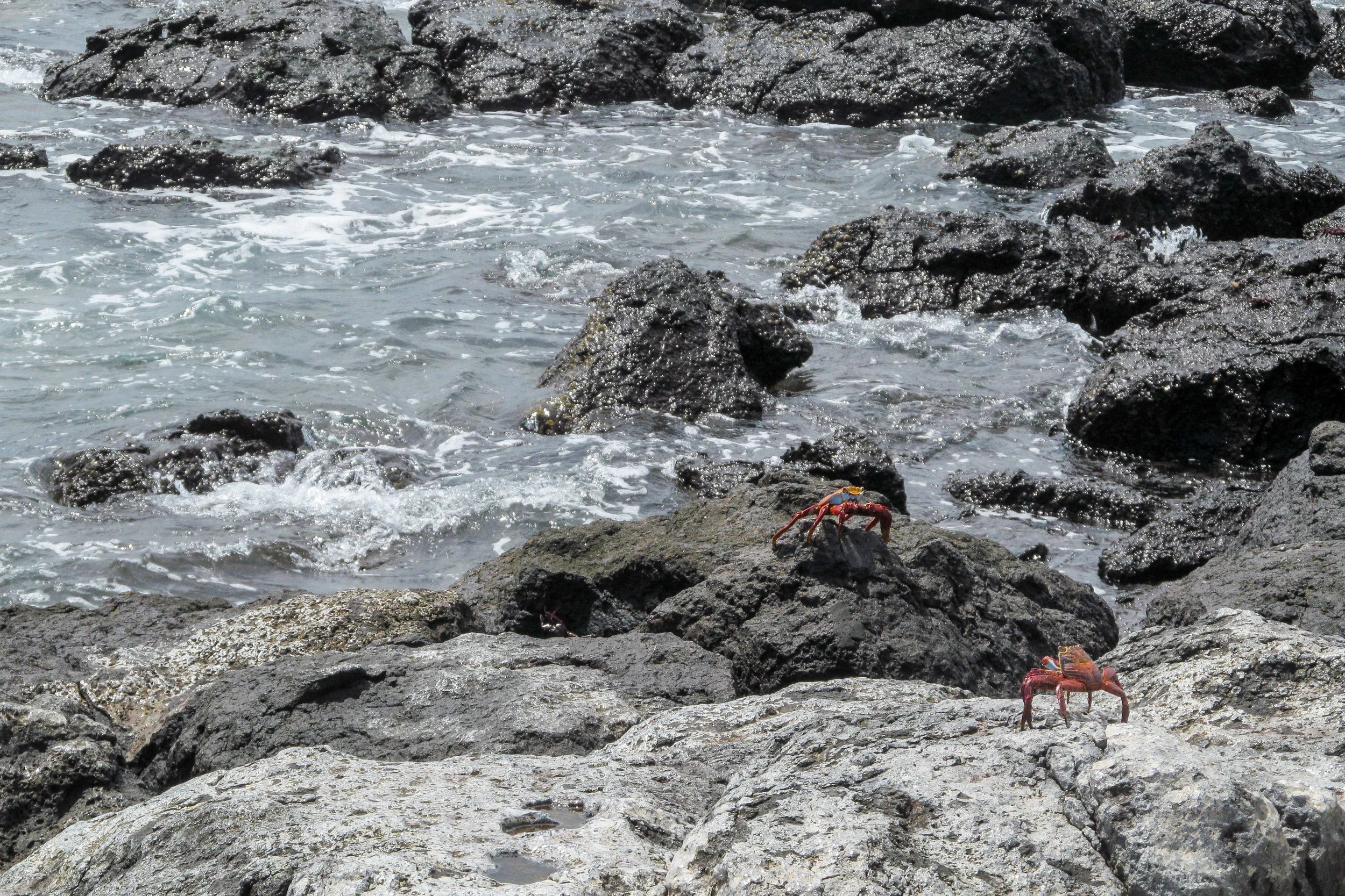 IMG_5745.jpg
