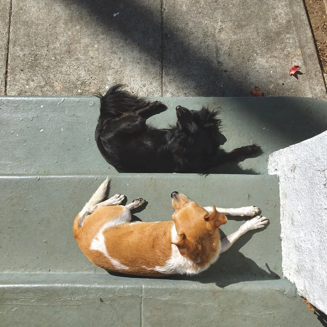 Ruby + Ghost