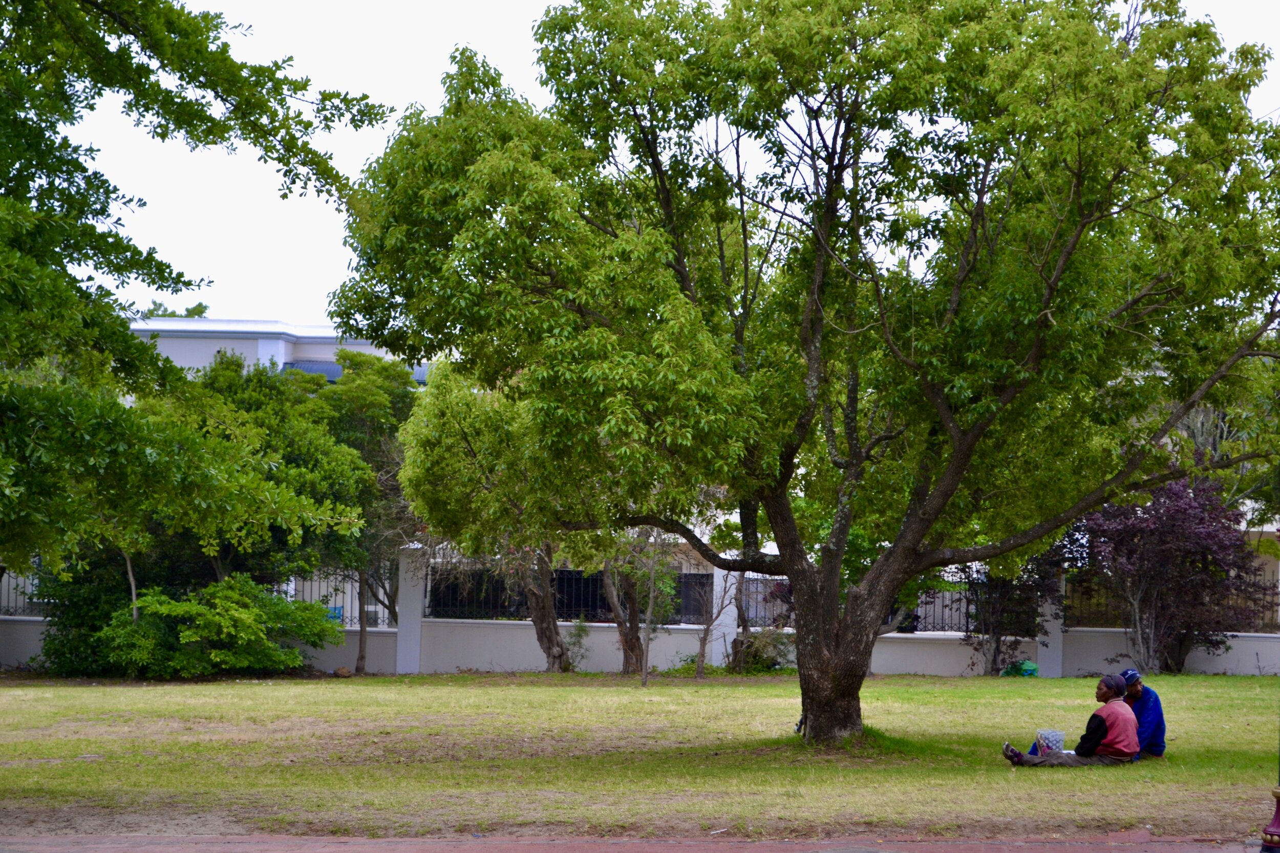 41F9C5DB-A007-4D14-BC1A-0429FF664B5B_1_201_a.jpeg