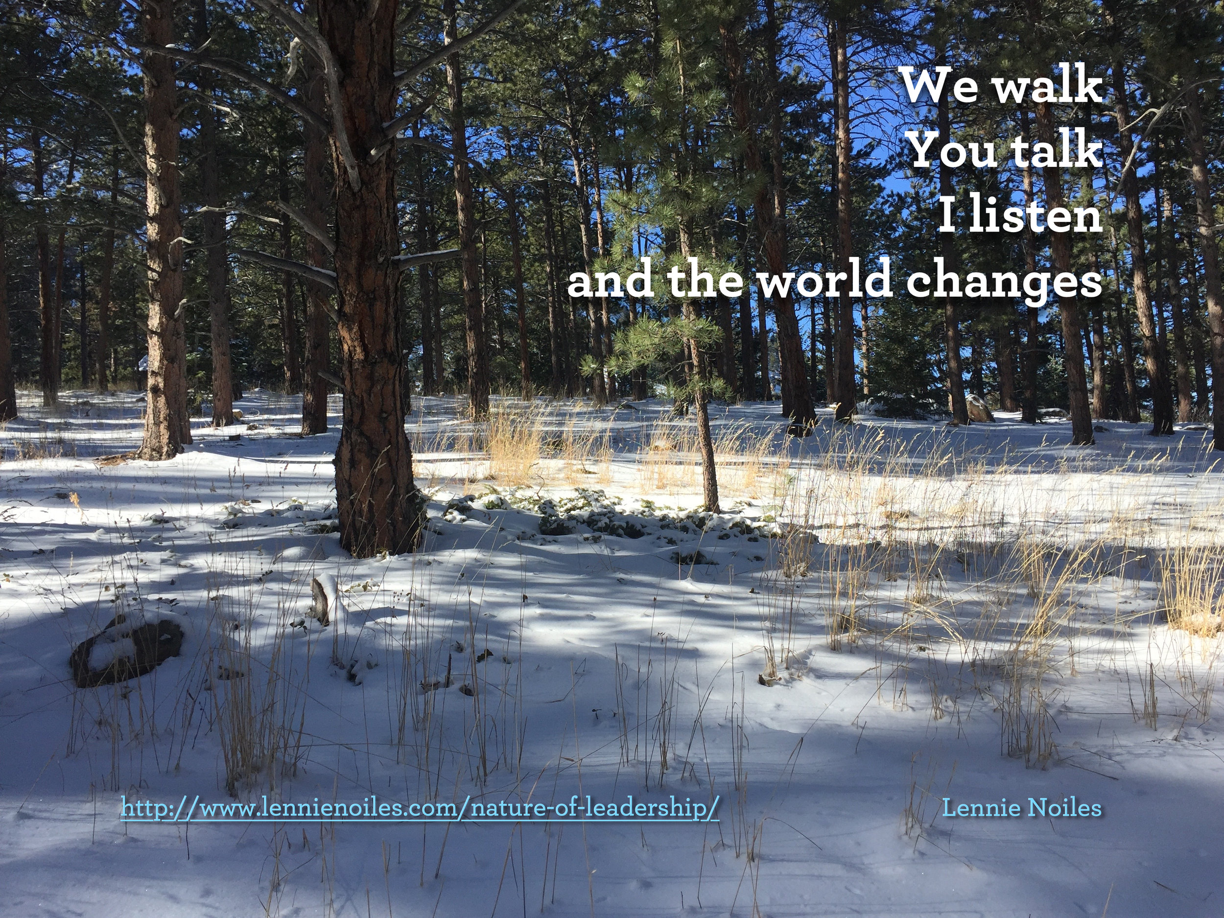 We walk.jpg