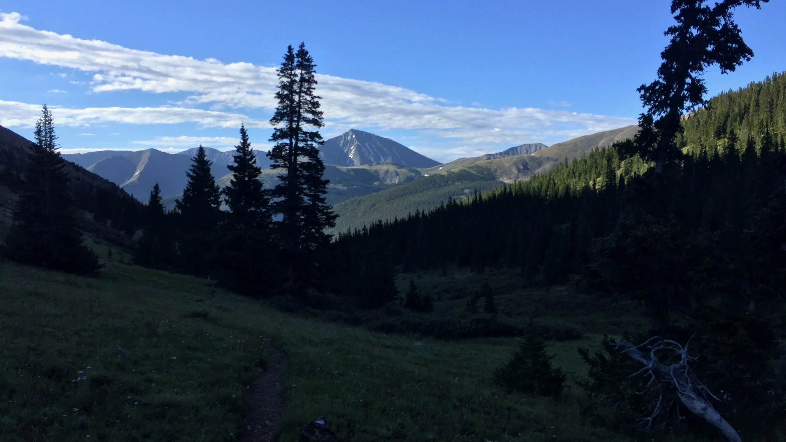 Powerful questions and Nature-based coaching