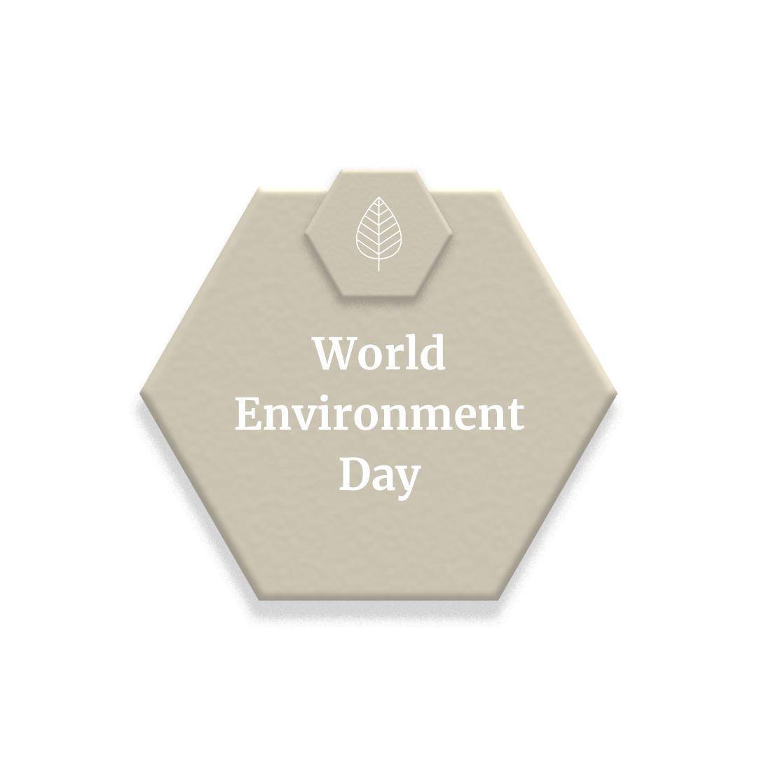 There are more than a few days to celebrate the earth and sustainable innovation, Like: World Environment Day  in JUne

In our books: Earth Day is everyday !

If you check out our instagram feed you can see one of our latest projects where sustainabl
