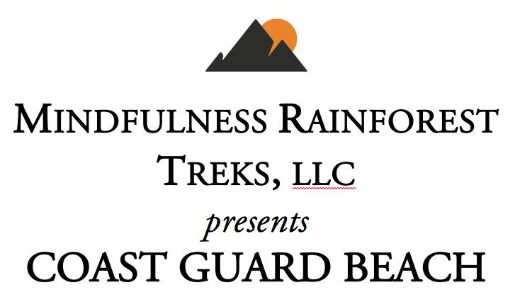 Coast Guard Beach Intro PIc 0.png