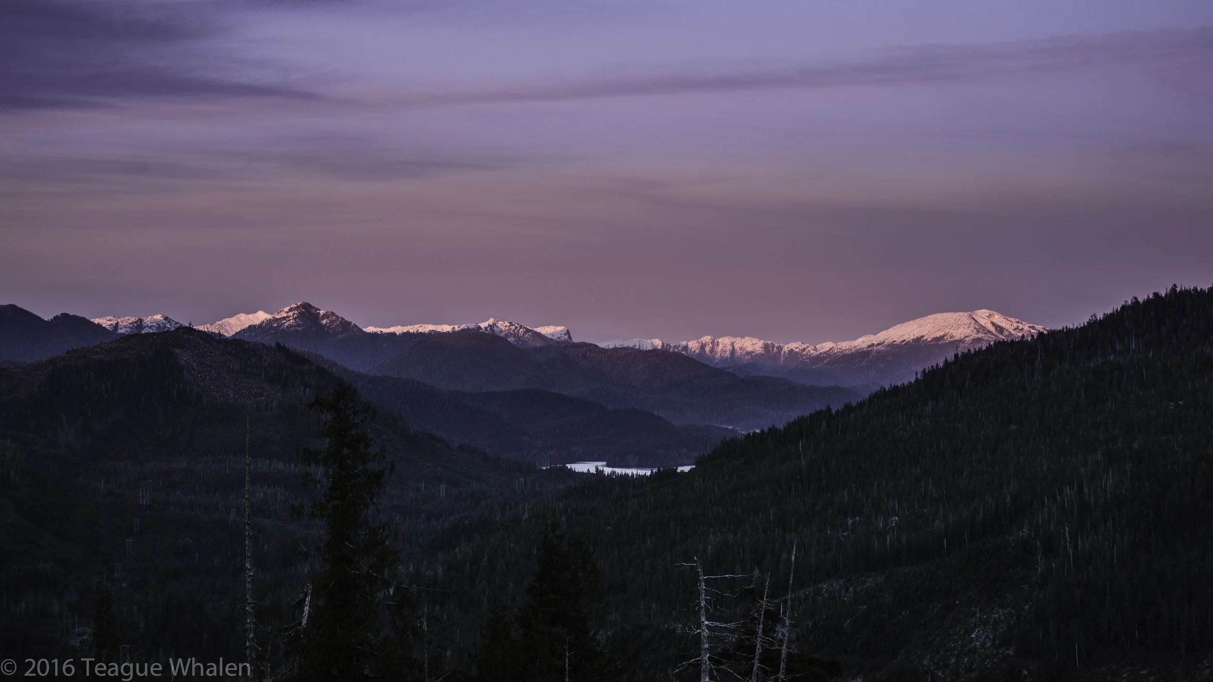 Brown Mt Road View.jpg